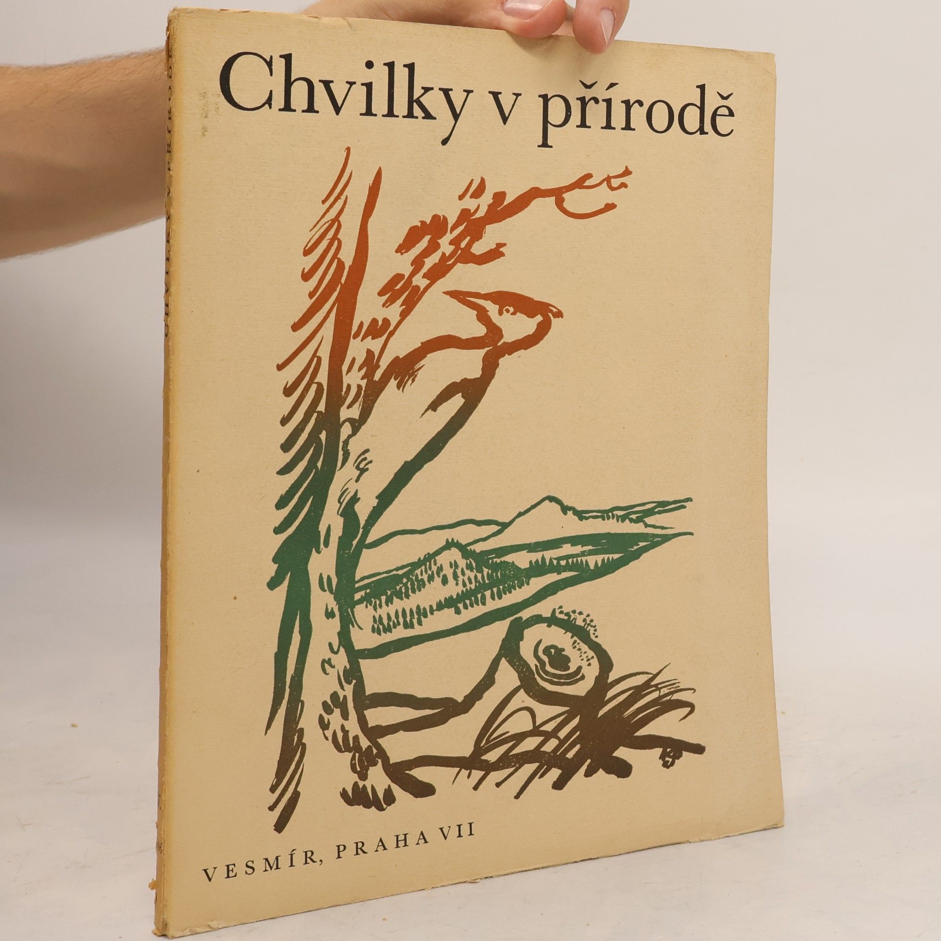 Autorenkollektiv Chvilky v přírodě V.