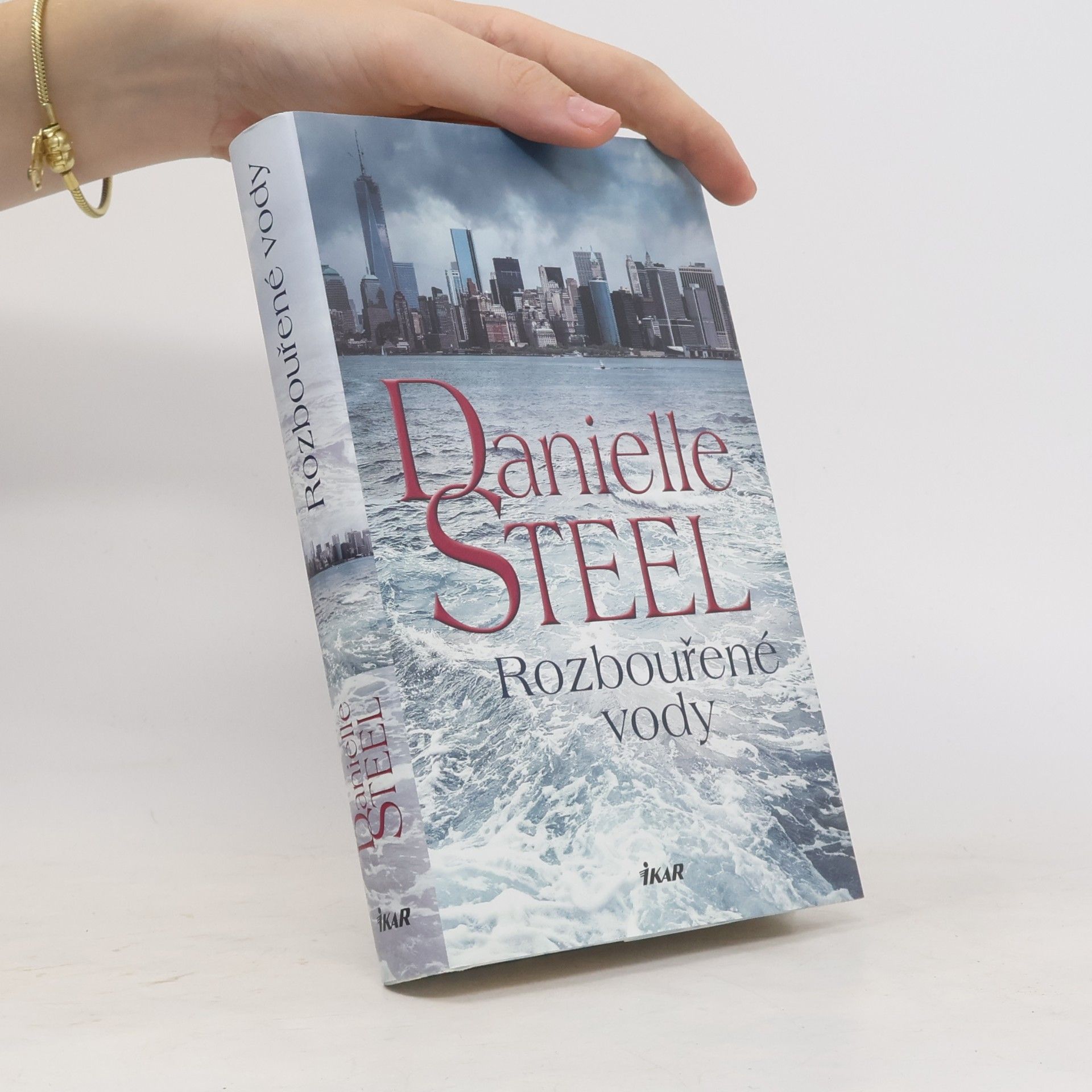 Danielle Steel Rozbouřené vody