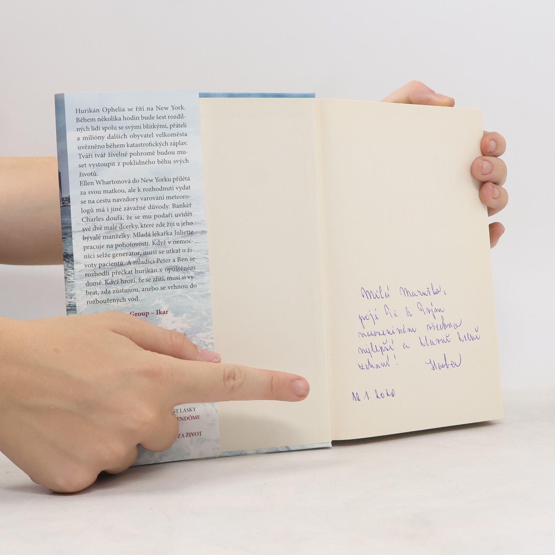 Danielle Steel Rozbouřené vody