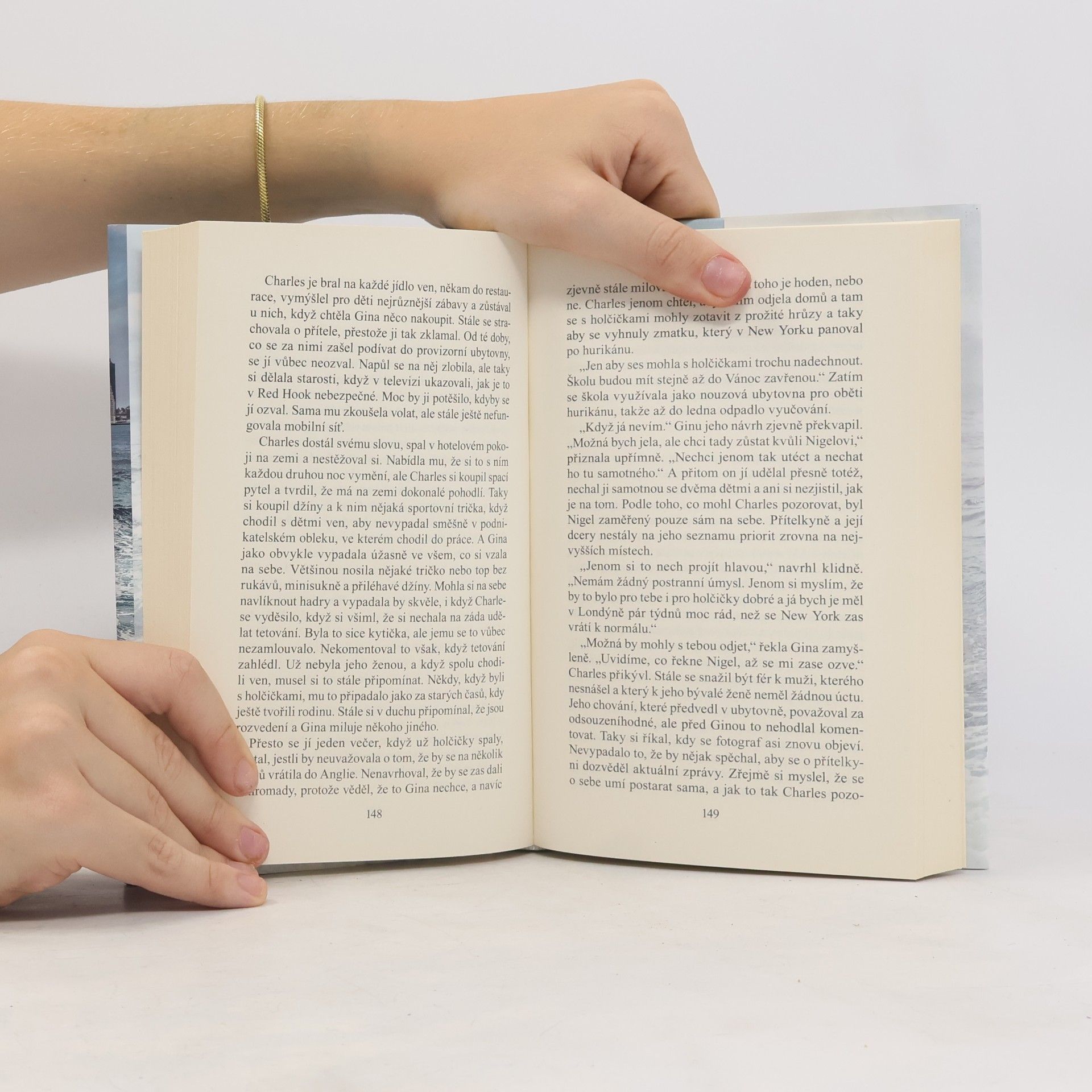 Danielle Steel Rozbouřené vody