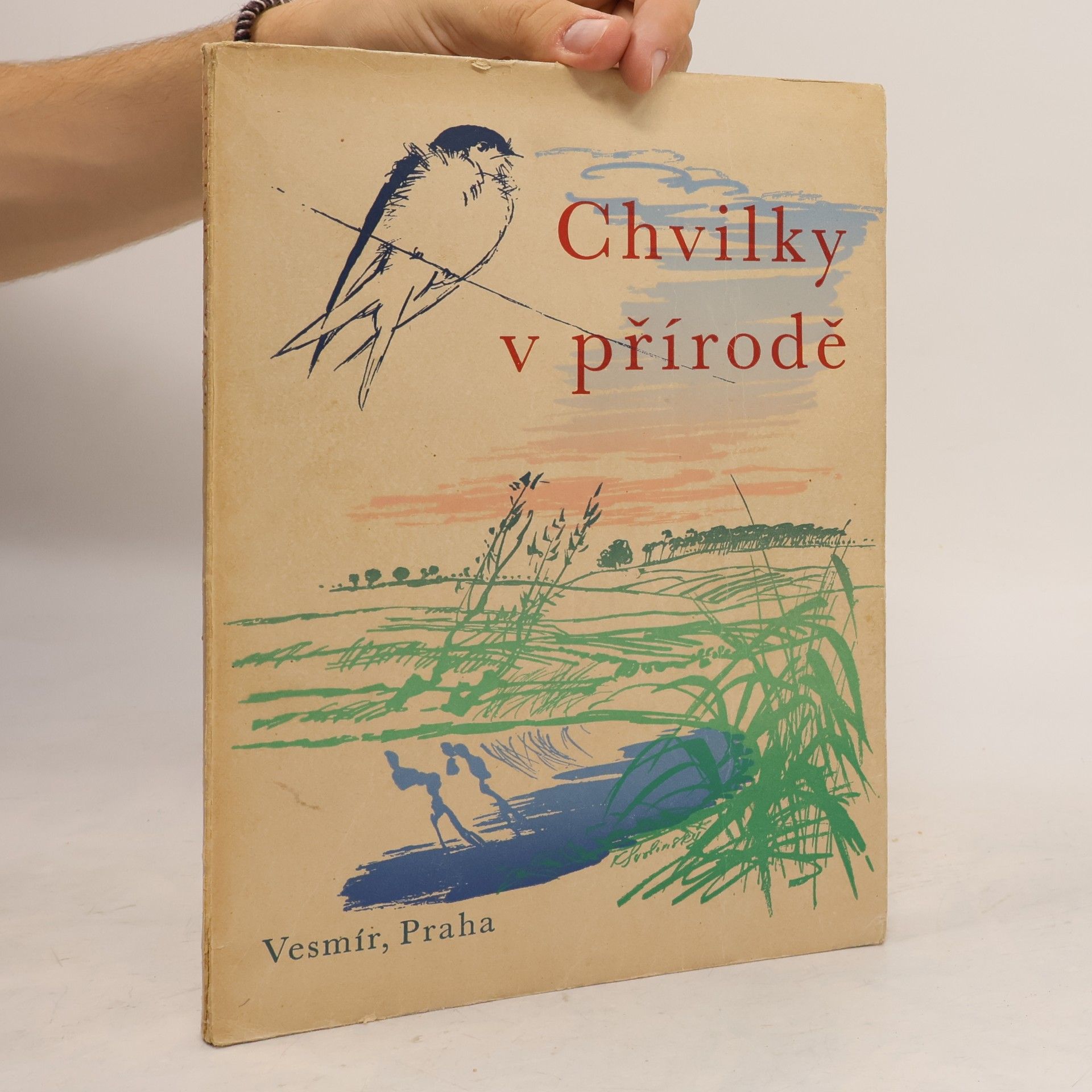 Kolektiv autorů Chvilky v přírodě