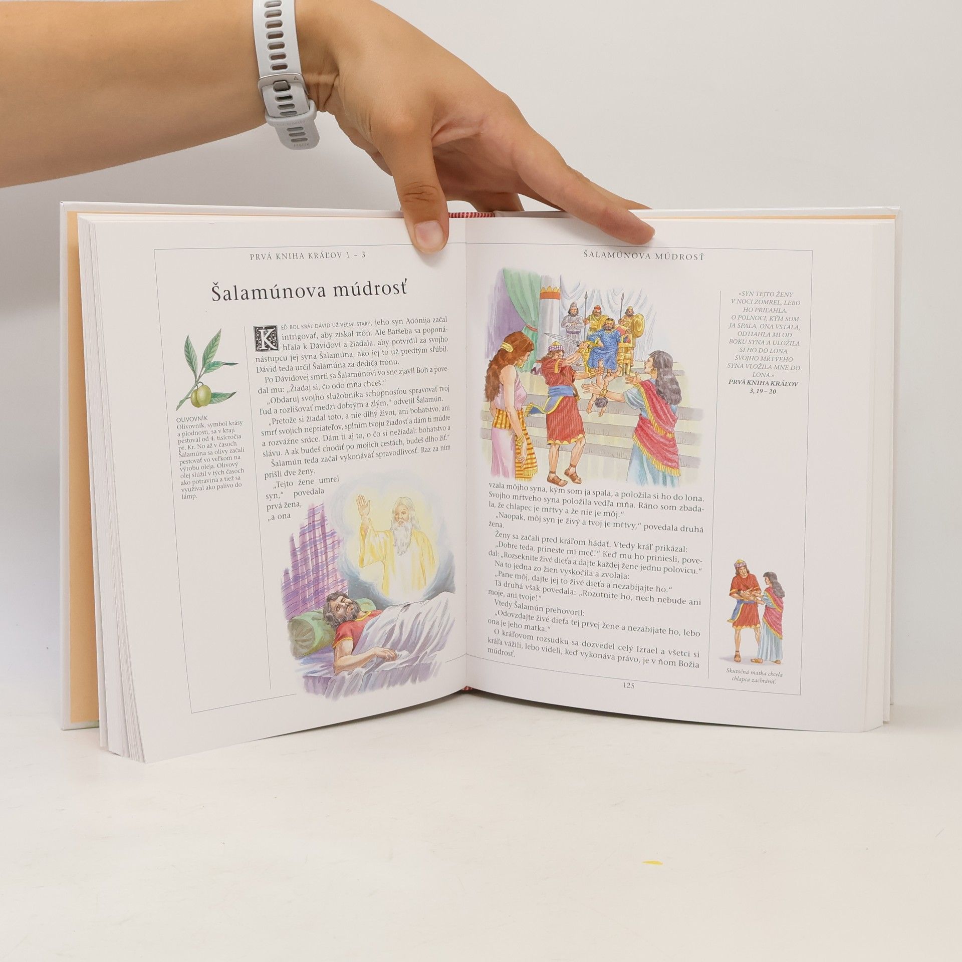 Kolektív autorov Ilustrovaná Biblia pre deti