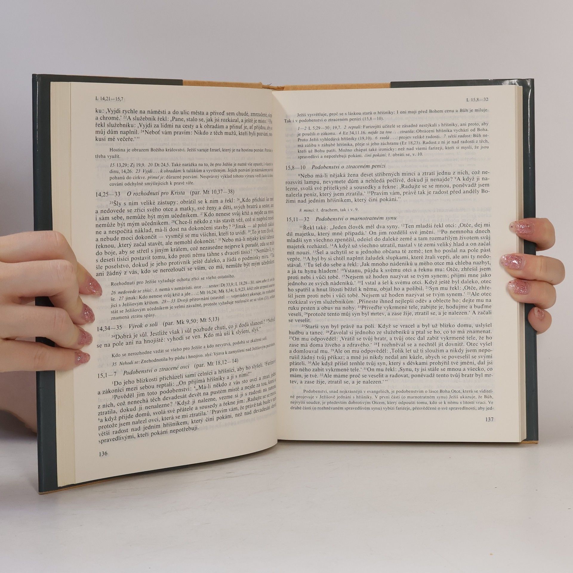 Various authors Nový zákon s výkladovými poznámkami