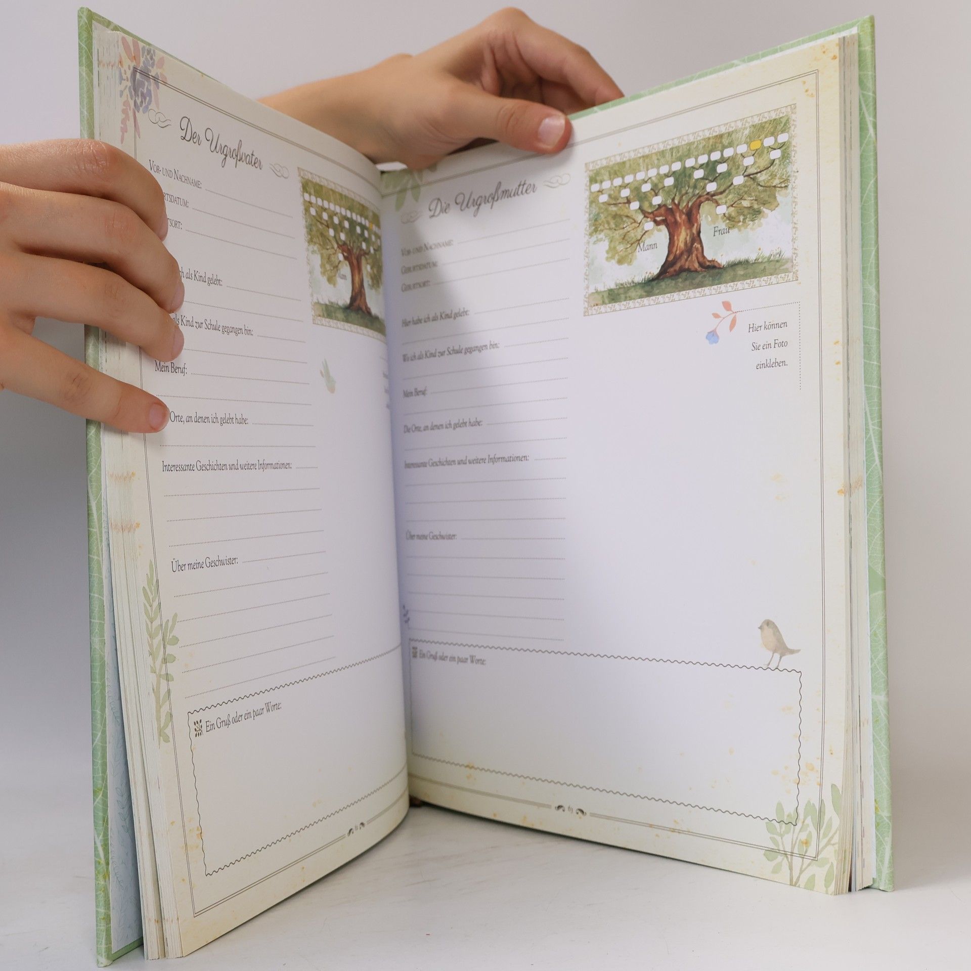 Monika Kopřivová Der Stammbaum unserer Familie: Ein Buch zum Eintragen der Ahnentafel und der Familiengeschichte