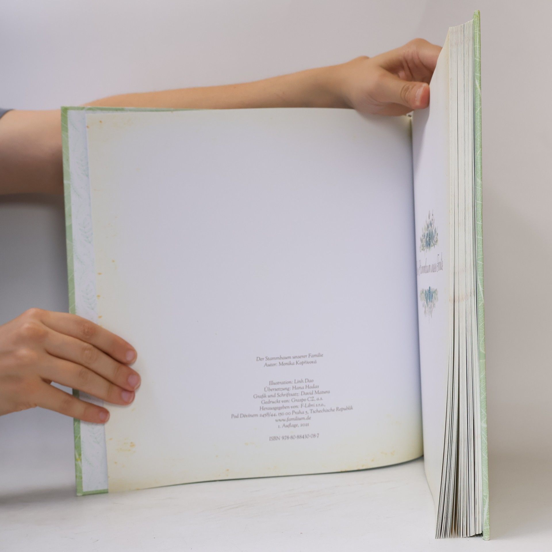 Monika Kopřivová Der Stammbaum unserer Familie: Ein Buch zum Eintragen der Ahnentafel und der Familiengeschichte