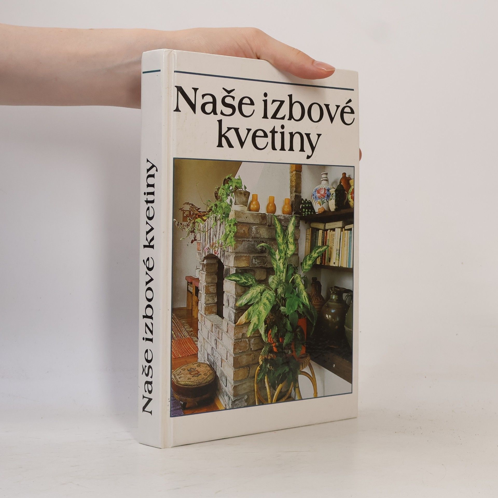 Lajos Lelkes Naše izbové kvetiny