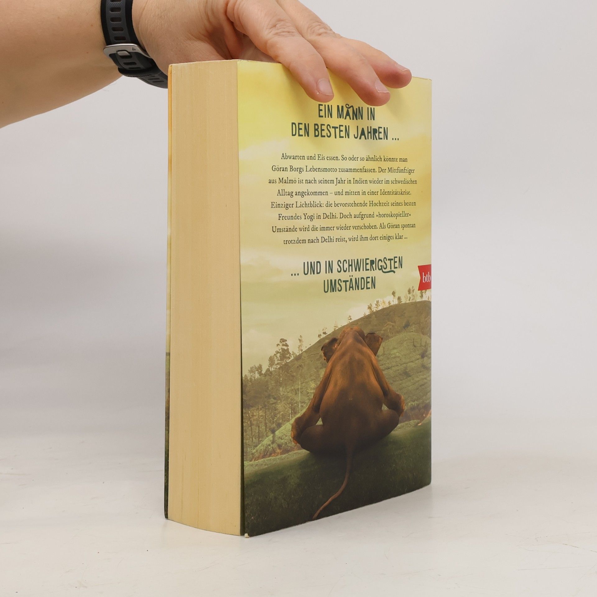Mikael Bergstrand Der Fünfzigjährige, der den Hintern nicht hochbekam, bis ihm ein Tiger auf die Sprünge half