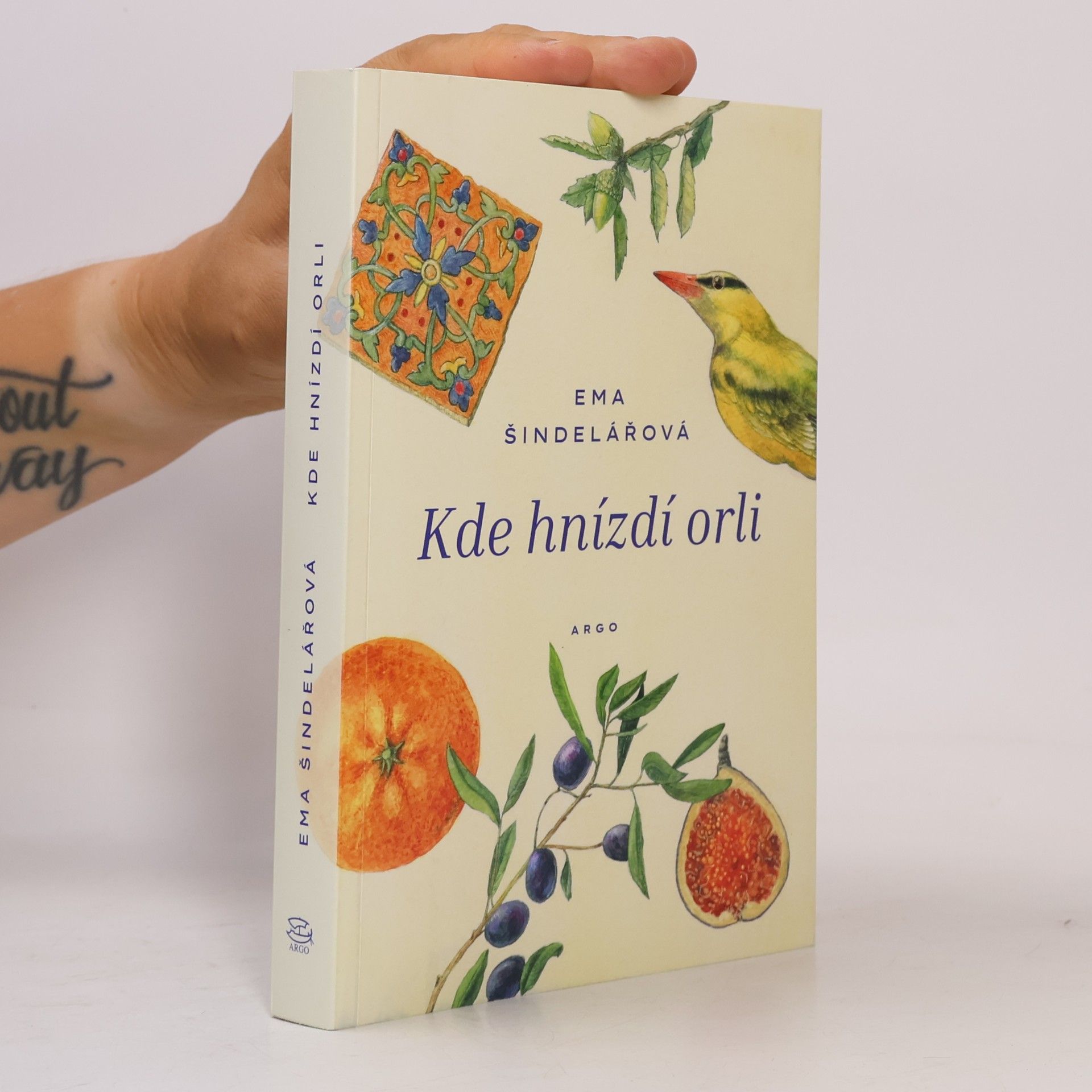 Kde hnízdí orli