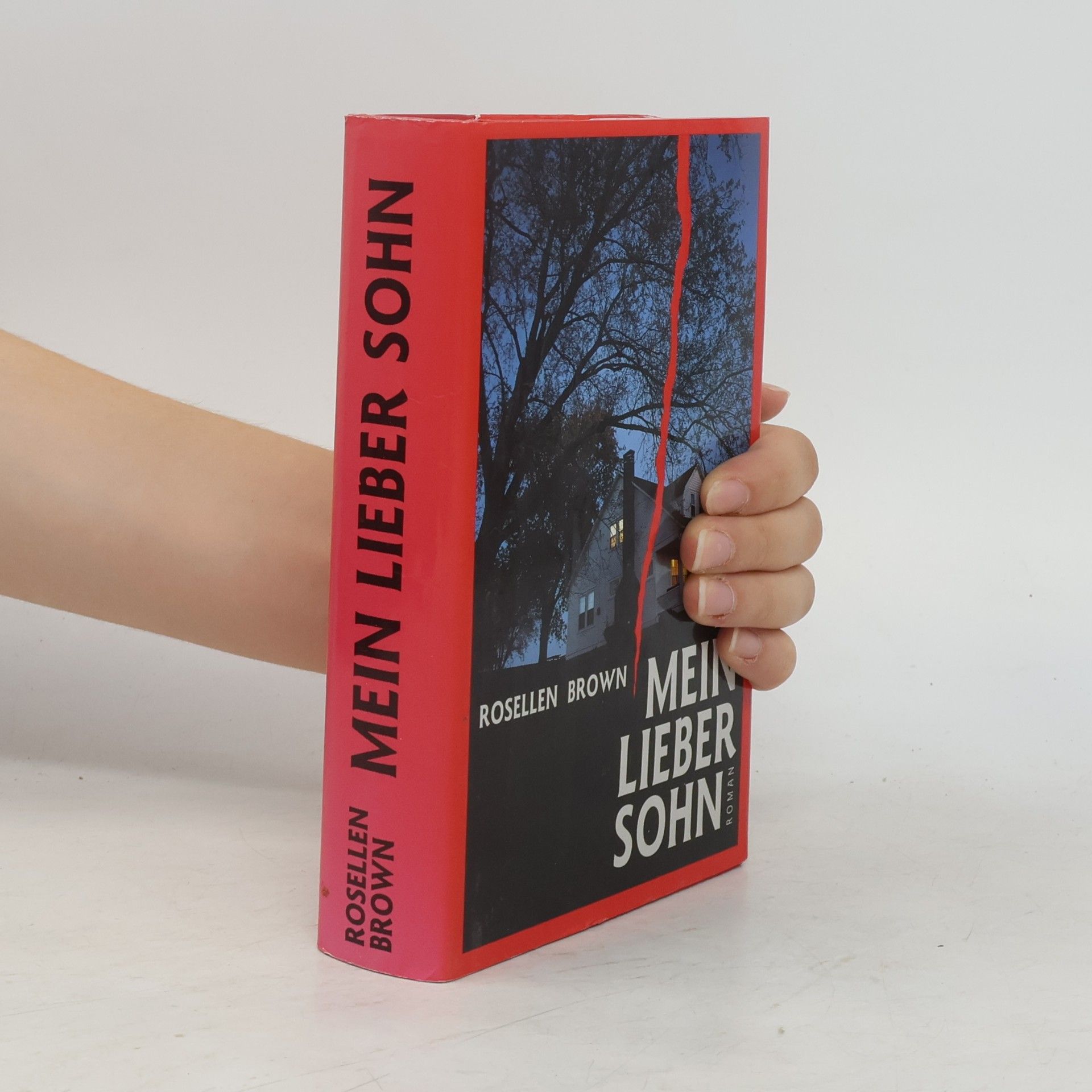 Rosellen Brown Mein Lieber Sohn