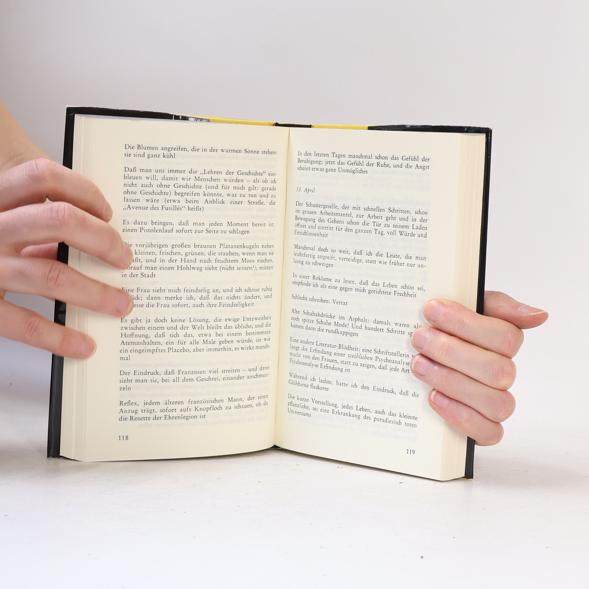 Peter Handke Das Gewicht der Welt