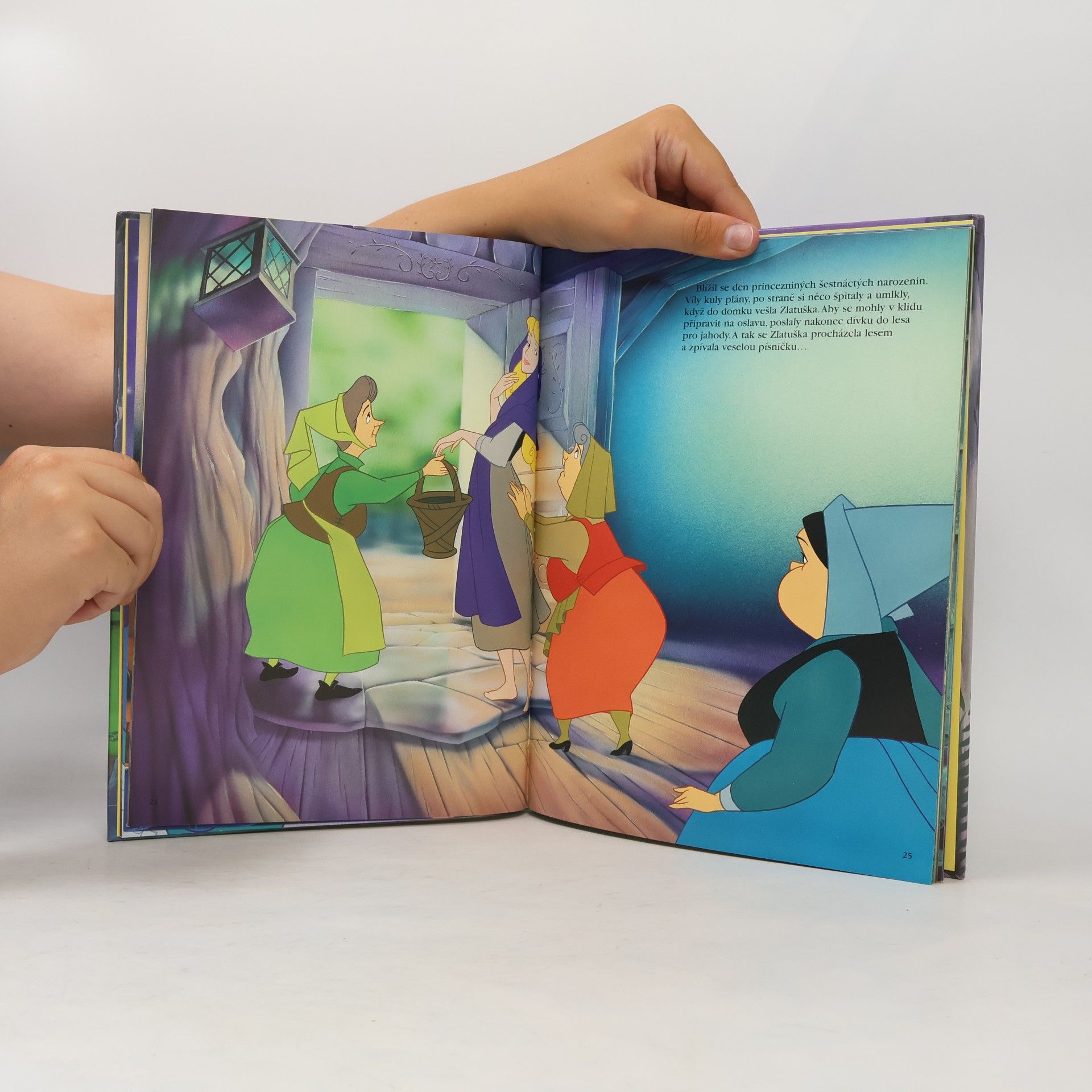 Walt Disney Šípková Růženka