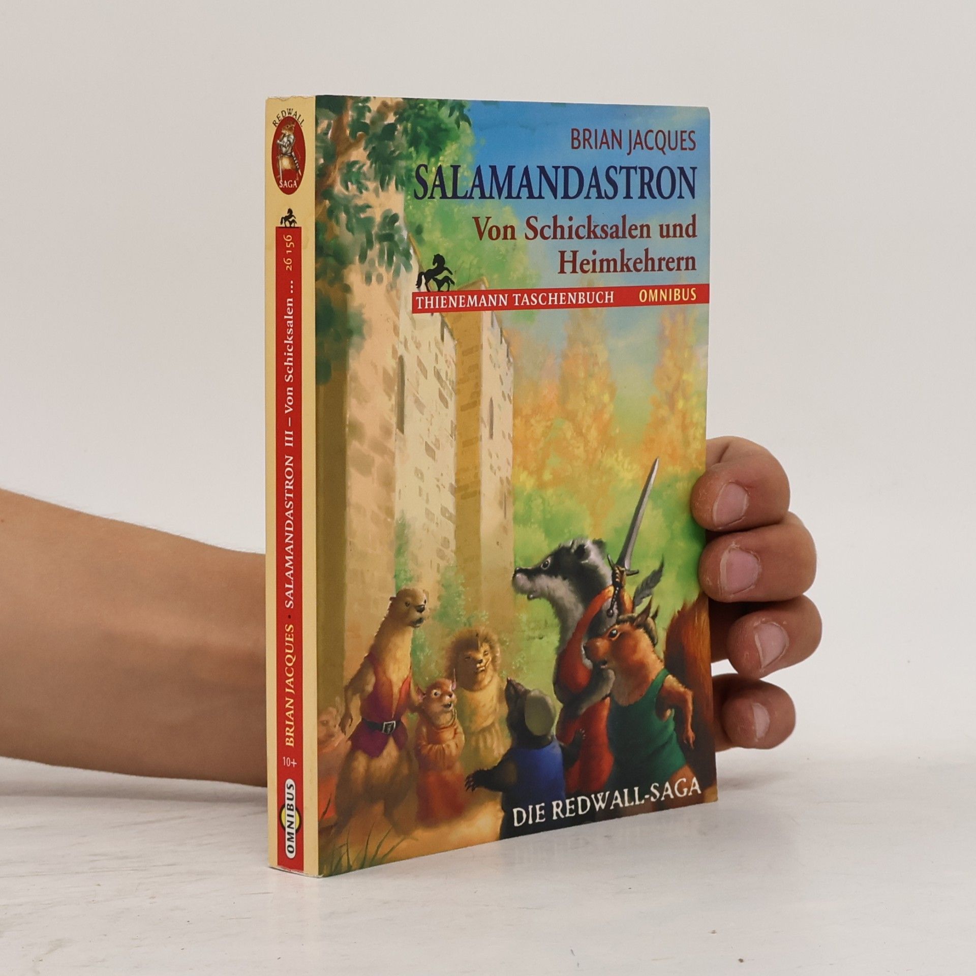 Brian Jacques Salamandastron, Von Schicksalen und Heimkehrern