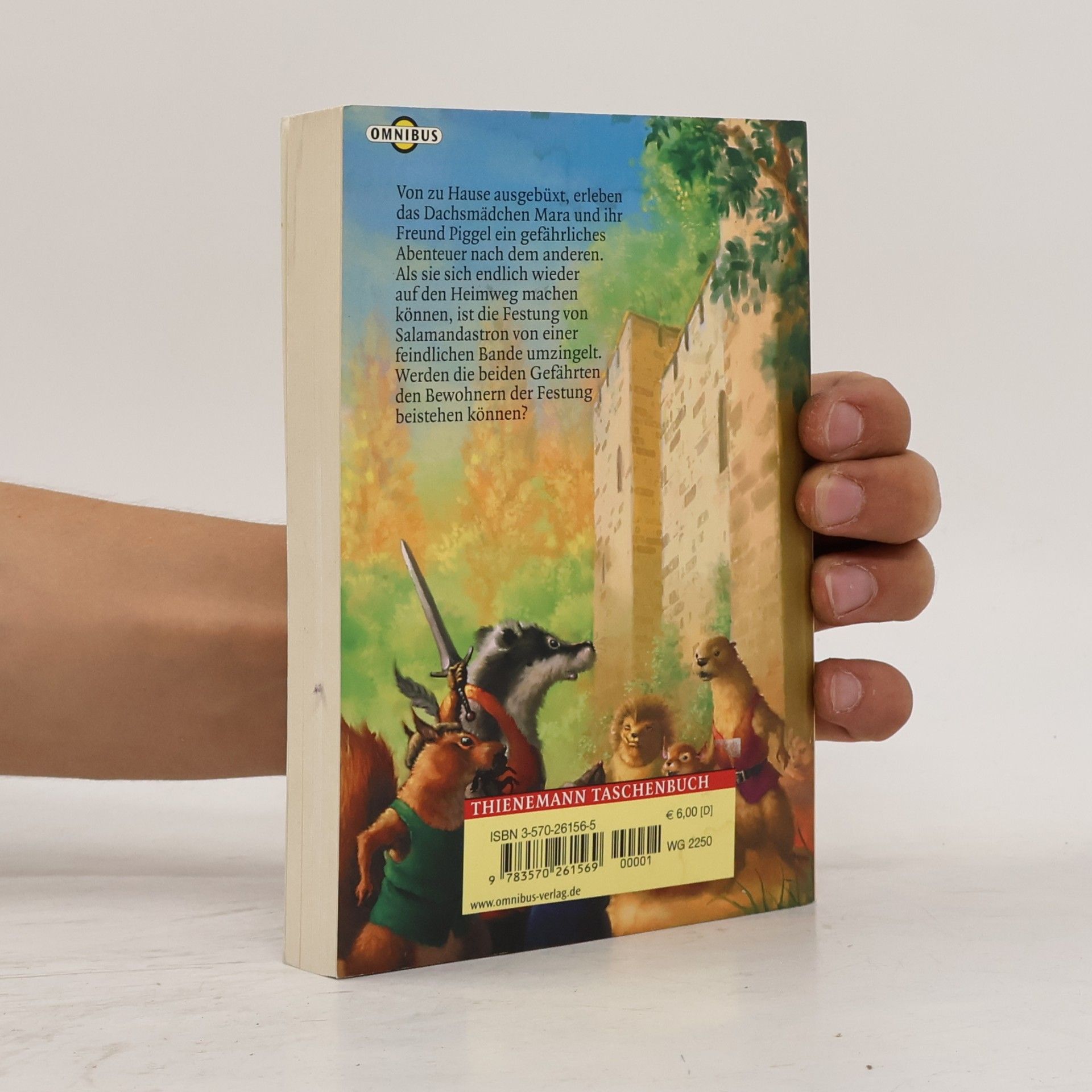 Brian Jacques Salamandastron, Von Schicksalen und Heimkehrern