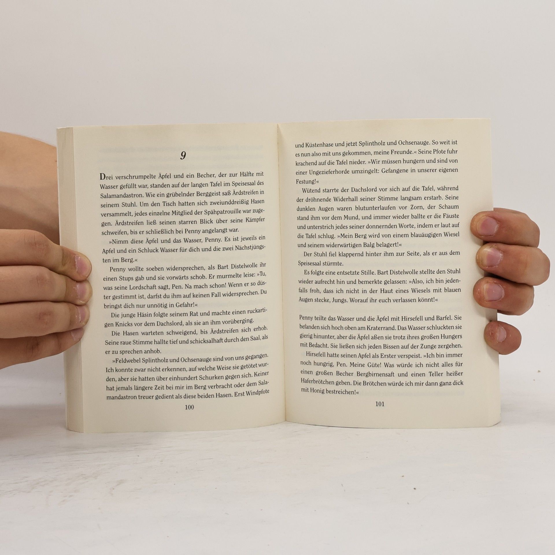 Brian Jacques Salamandastron, Von Schicksalen und Heimkehrern