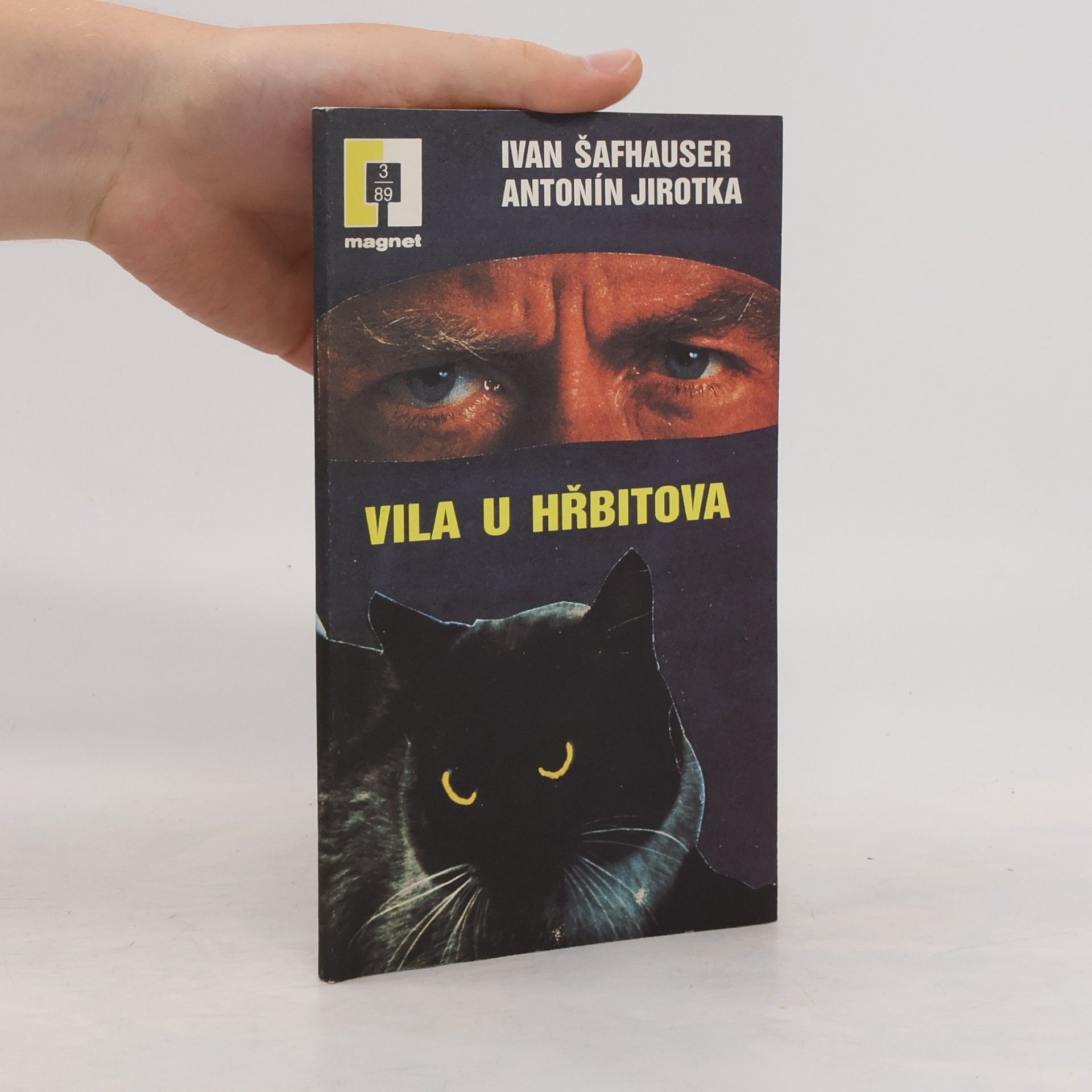 Ivan Šafhauser Vila u hřbitova