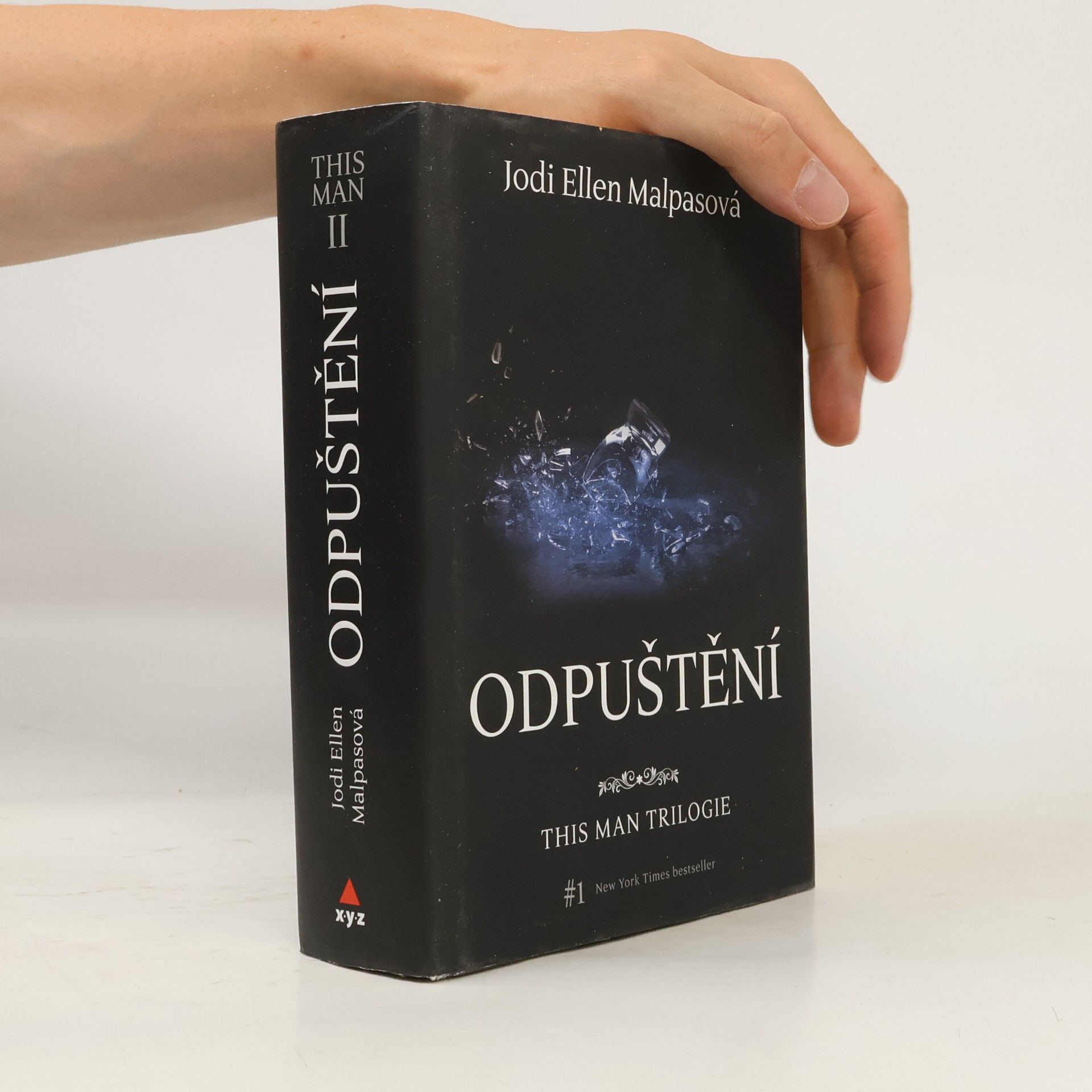 Jodi Ellen Malpas This man trilogie : Odpuštění