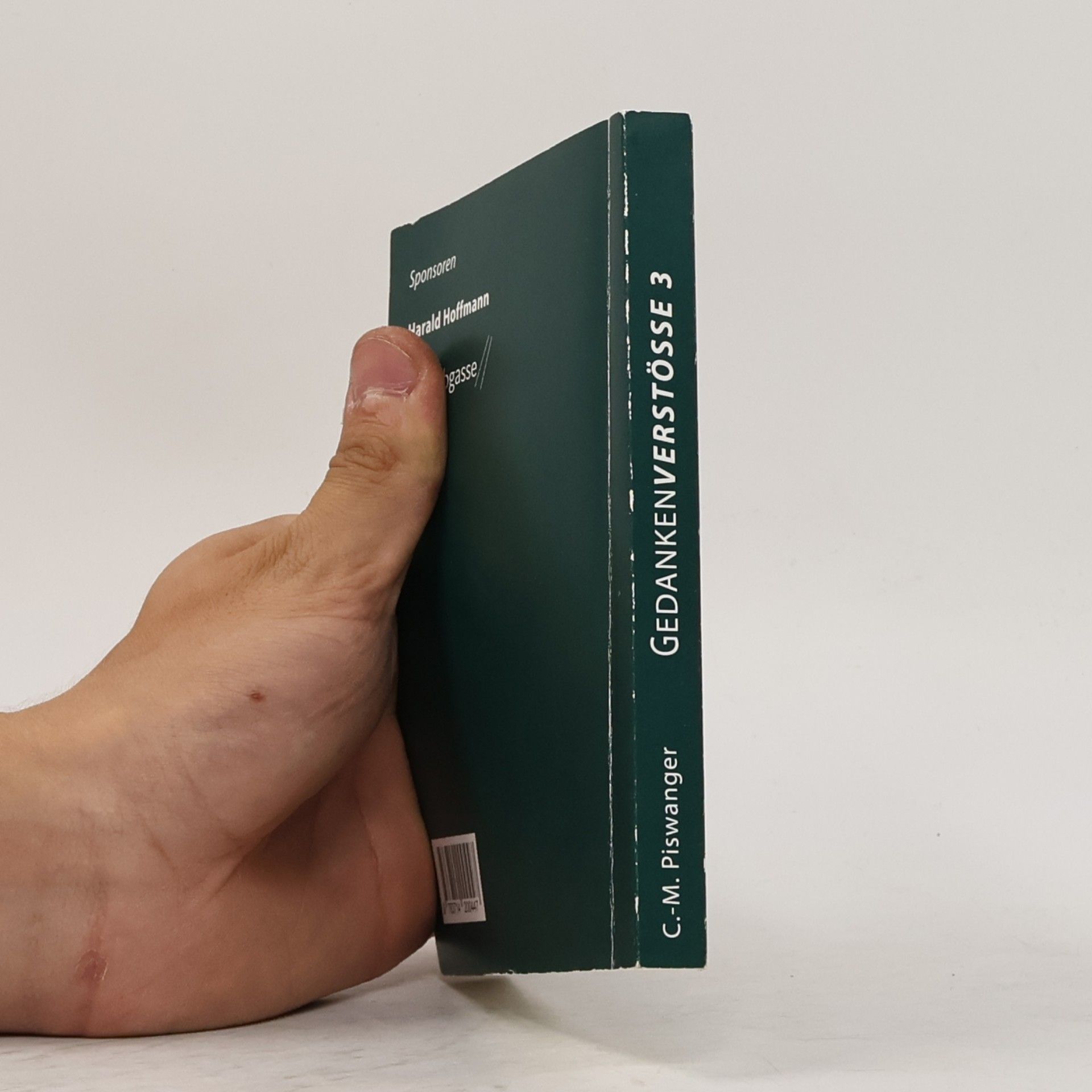 Carl Markus Piswanger Der moderne Nihilist will Ruhe haben!