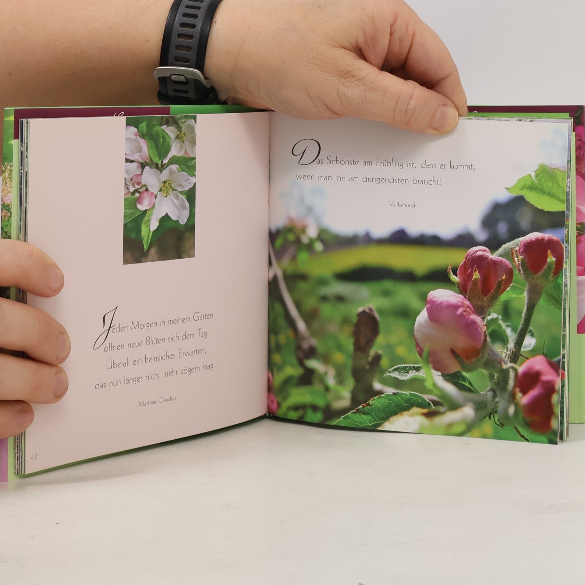 Collectif d'auteurs Dein Garten