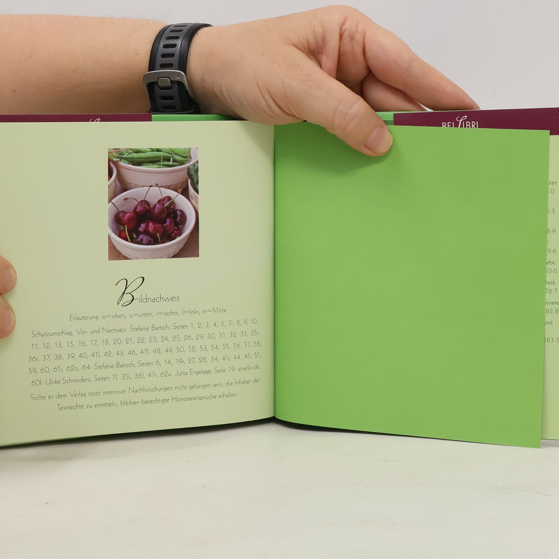 Collectif d'auteurs Dein Garten