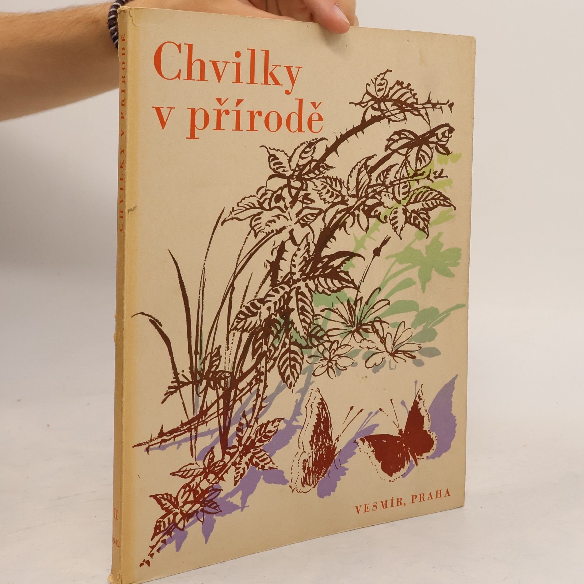 Kolektiv autorů Chvilky v přírodě