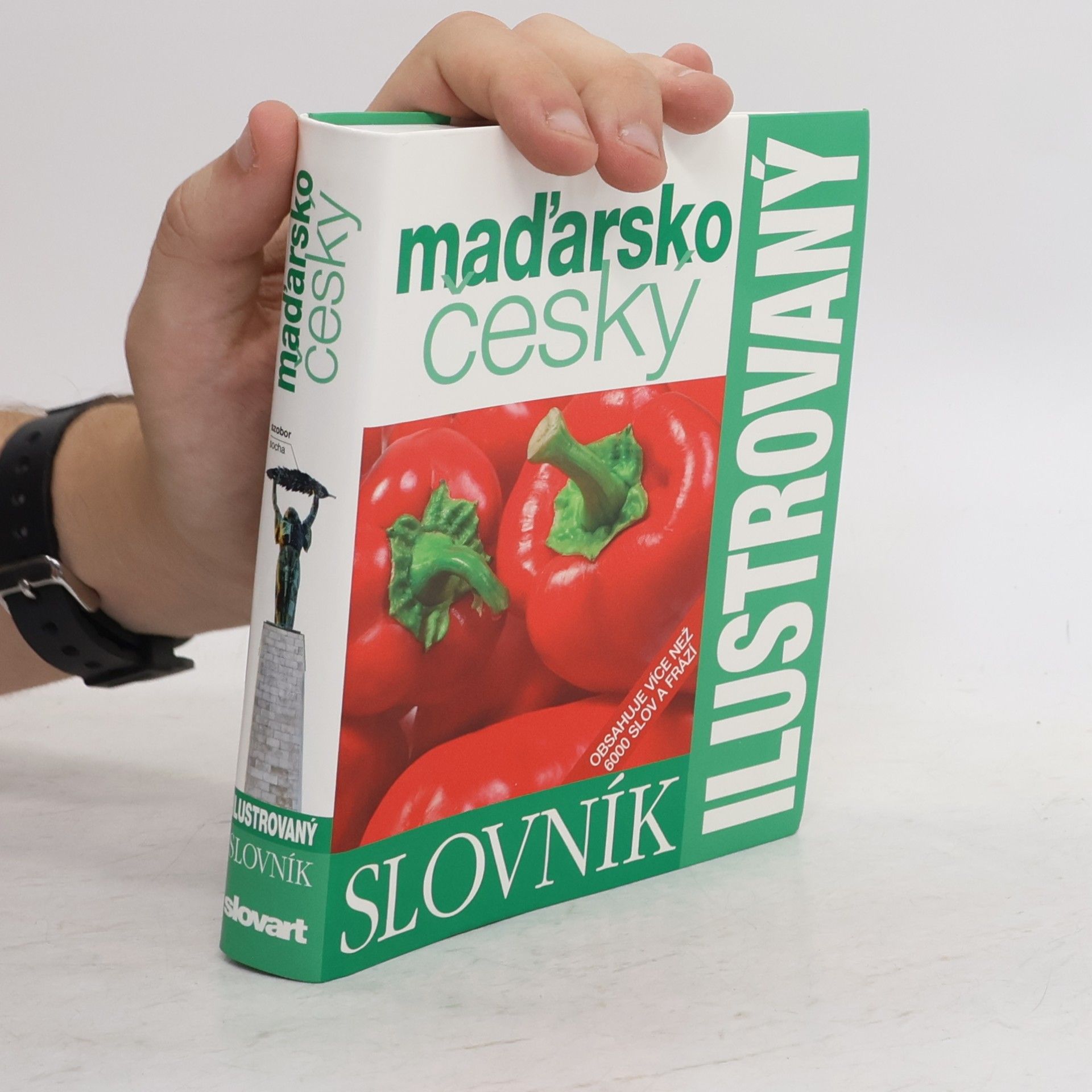 Various authors Maďarsko český ilustrovaný slovník