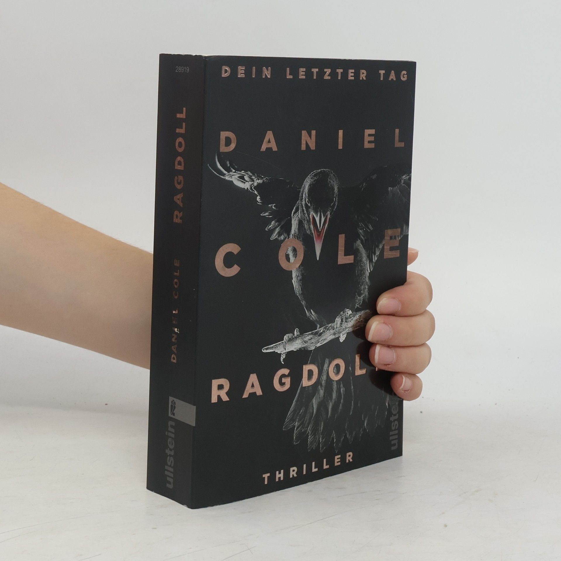 Daniel Cole Ragdoll