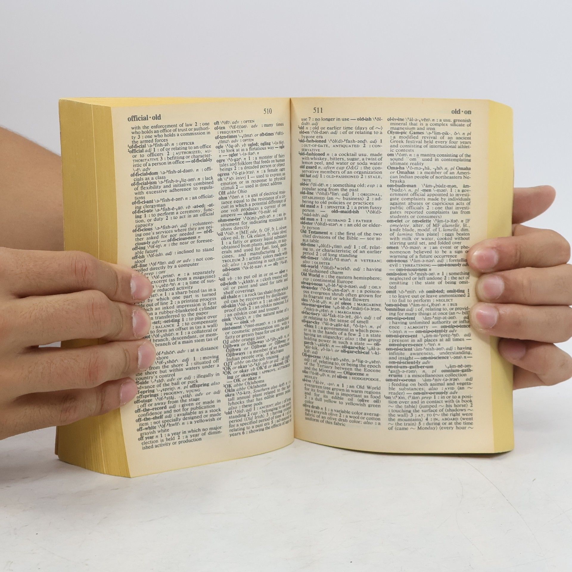 Kolektív autorov The new Merriam-Webster dictionary