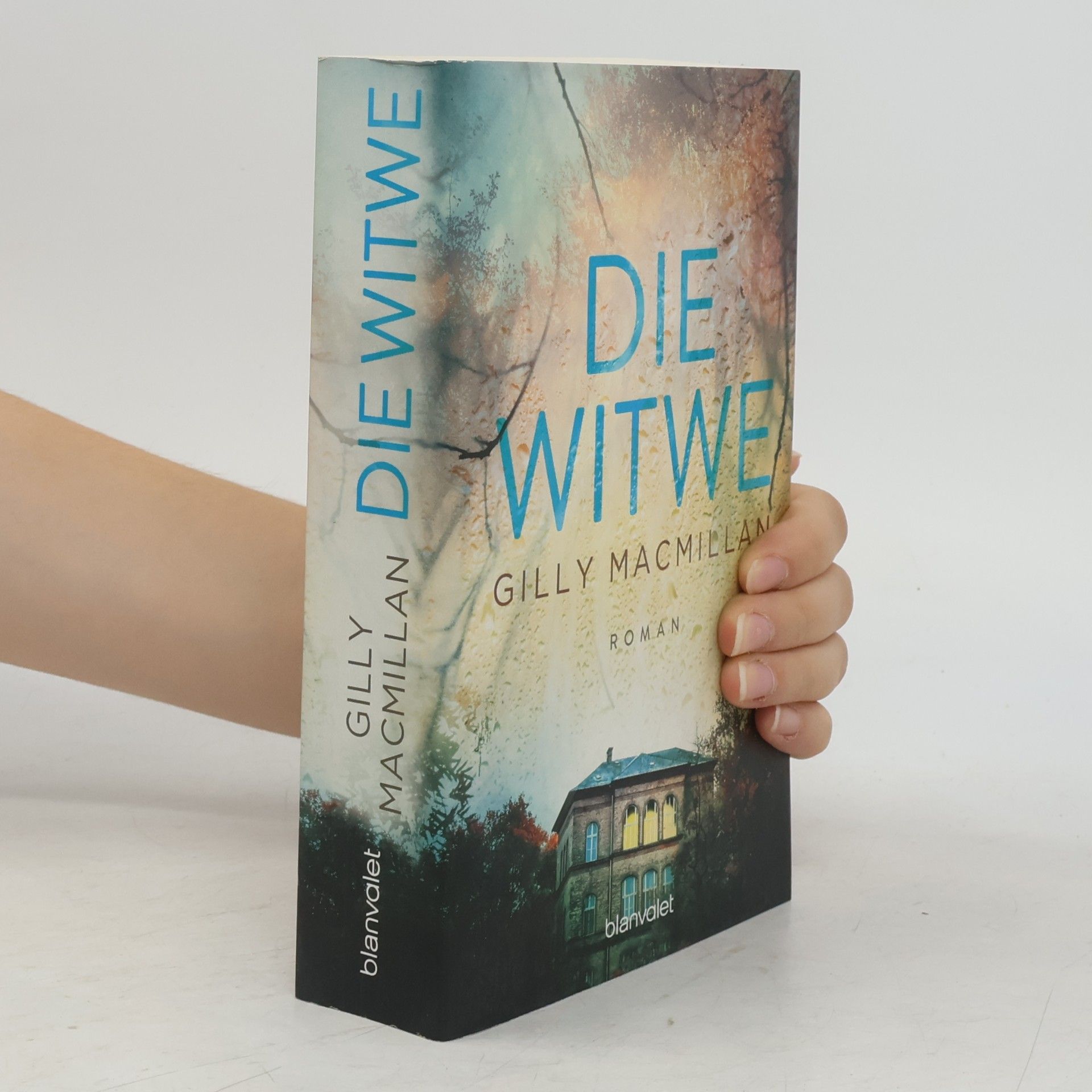 Gilly Macmillan Die Witwe