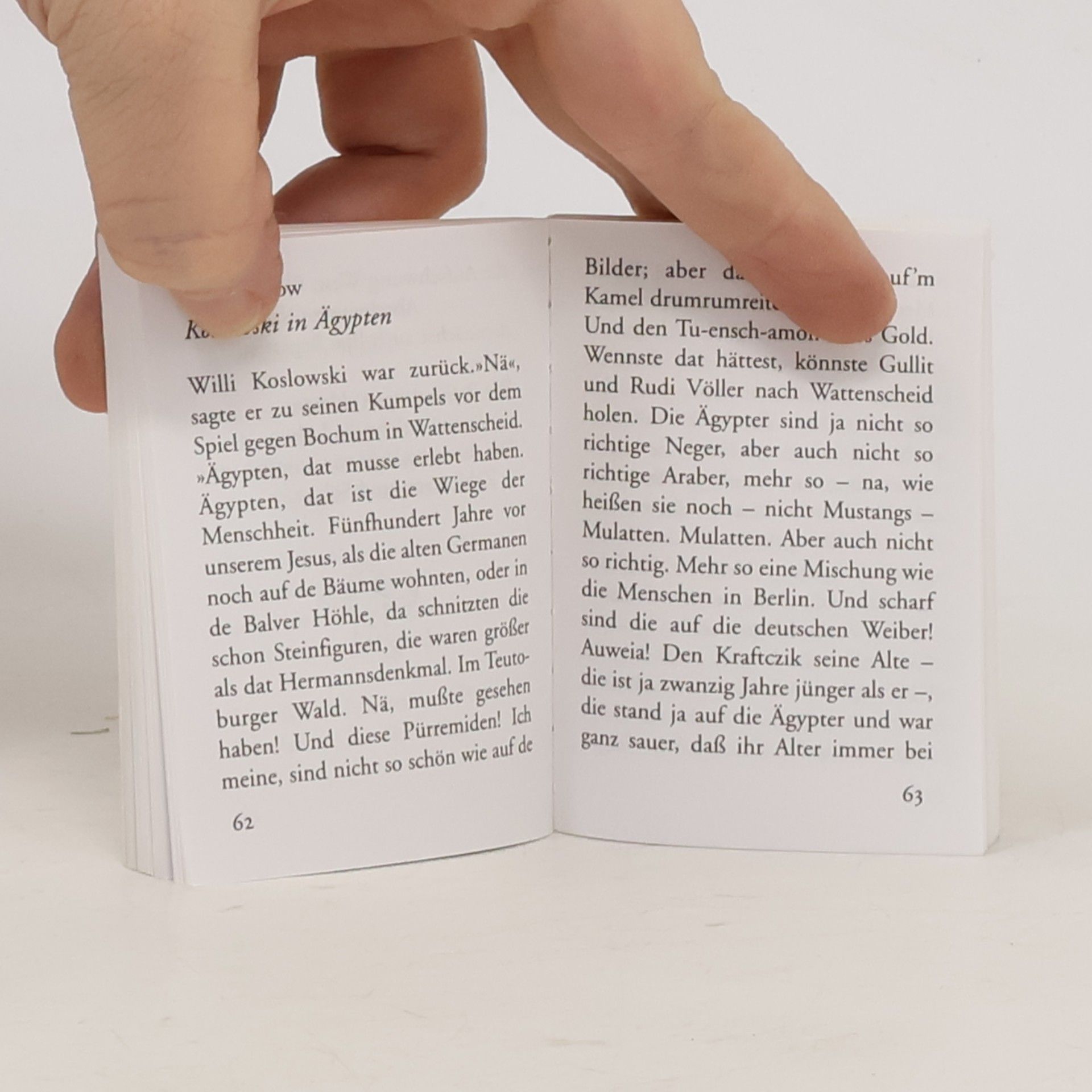 Eule Quickies - 12: Lachen und lachen lassen. Ein heiteres Vortragsbuch