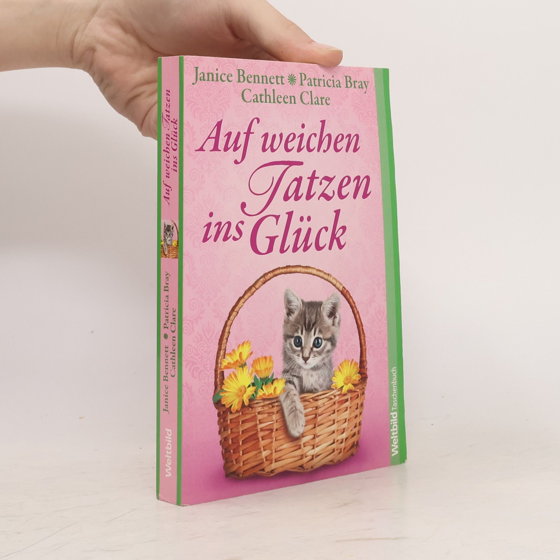 Janice Bennett Auf weichen Tatzen ins Glück