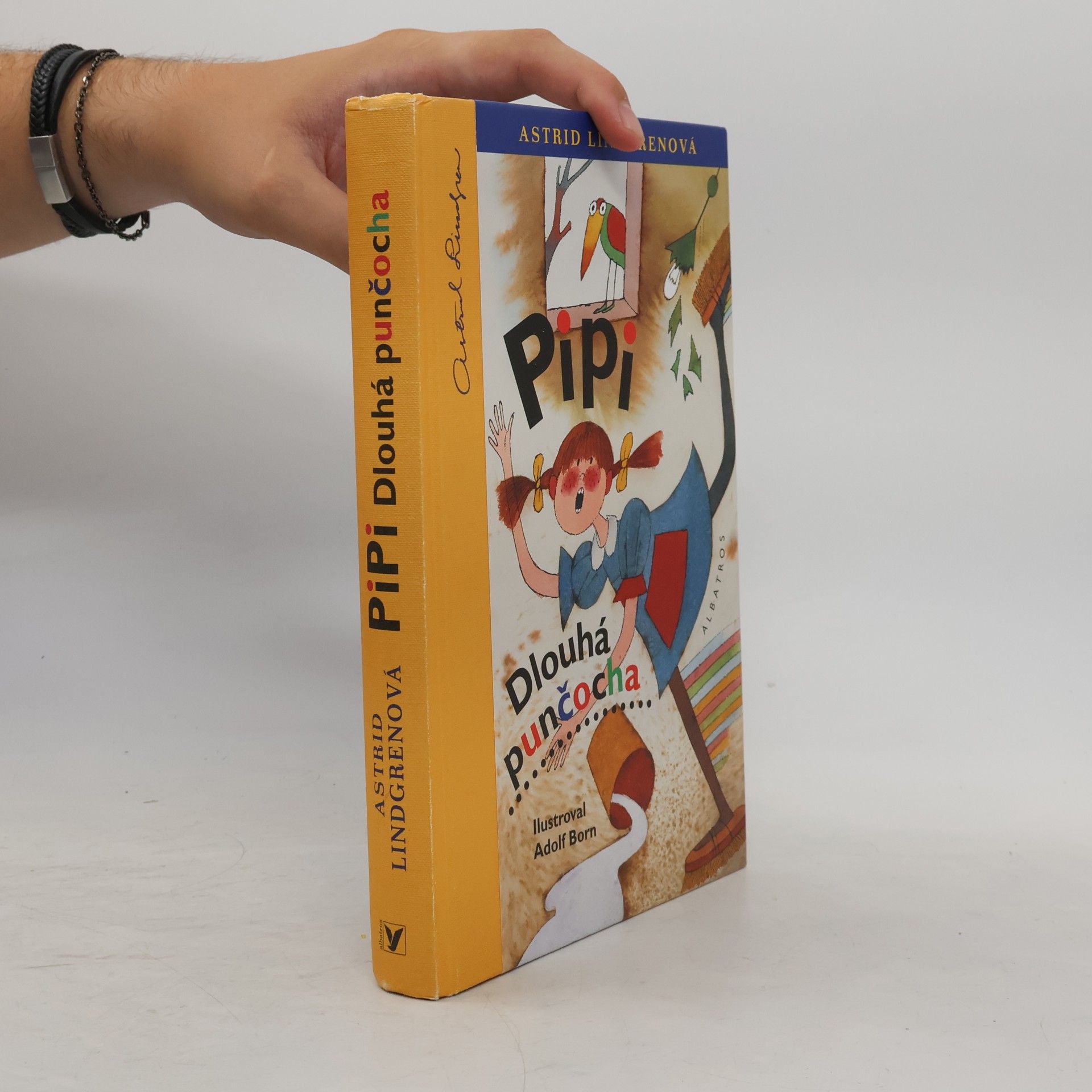 Astrid Lindgren Pipi Dlouhá punčocha