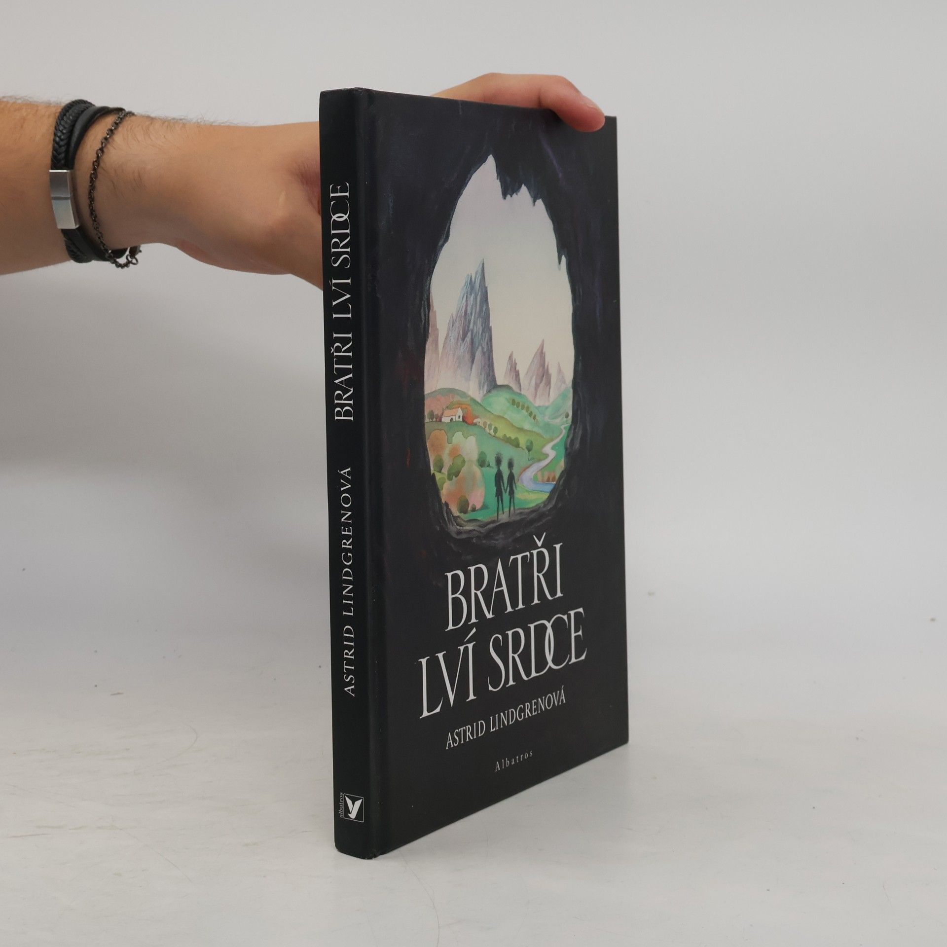 Astrid Lindgren Bratři Lví srdce