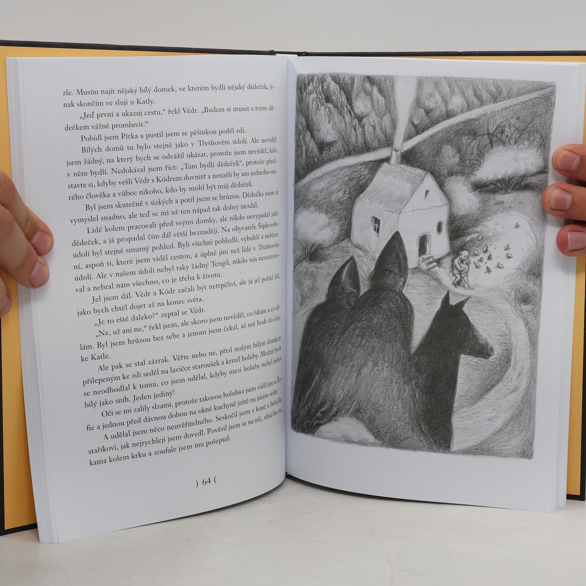 Astrid Lindgren Bratři Lví srdce
