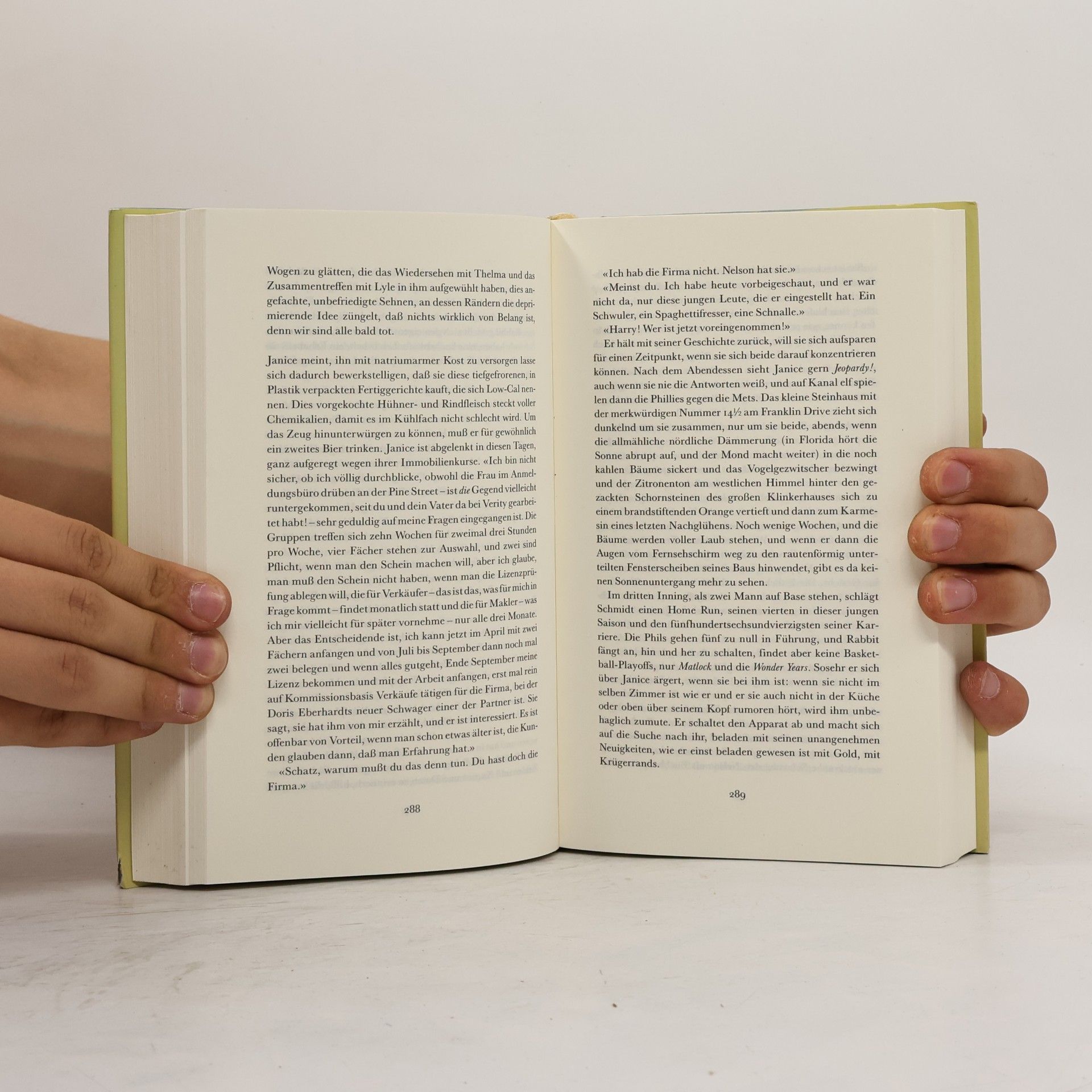 John Updike Rabbit in Ruhe