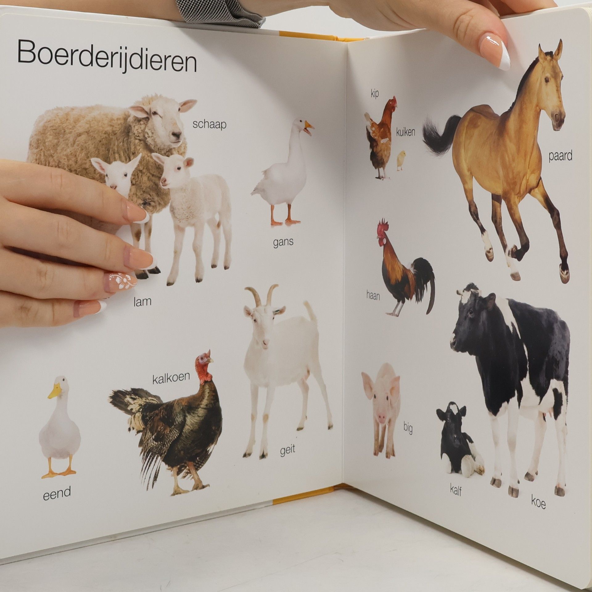 Collectif d'auteurs Dieren