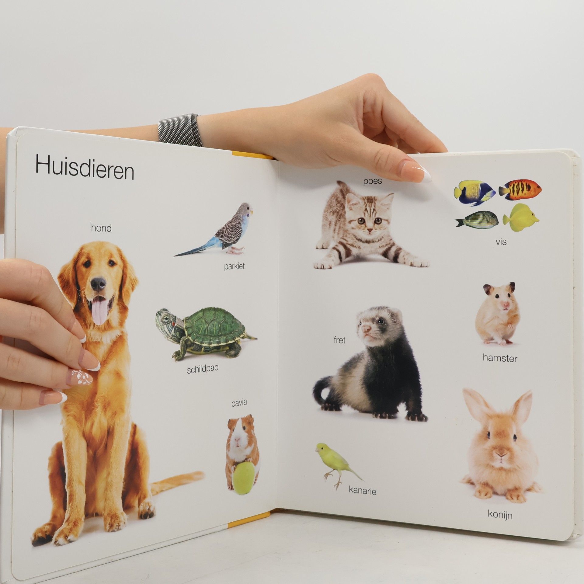 Collectif d'auteurs Dieren
