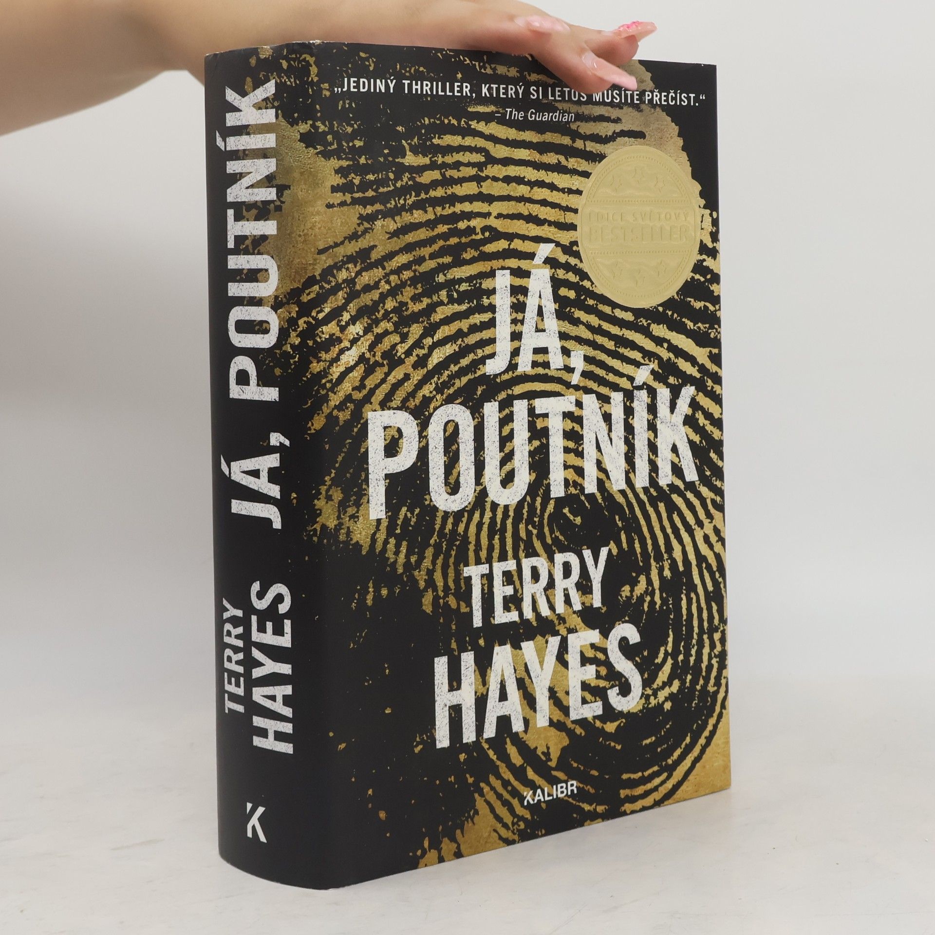 Terry Hayes Já, Poutník