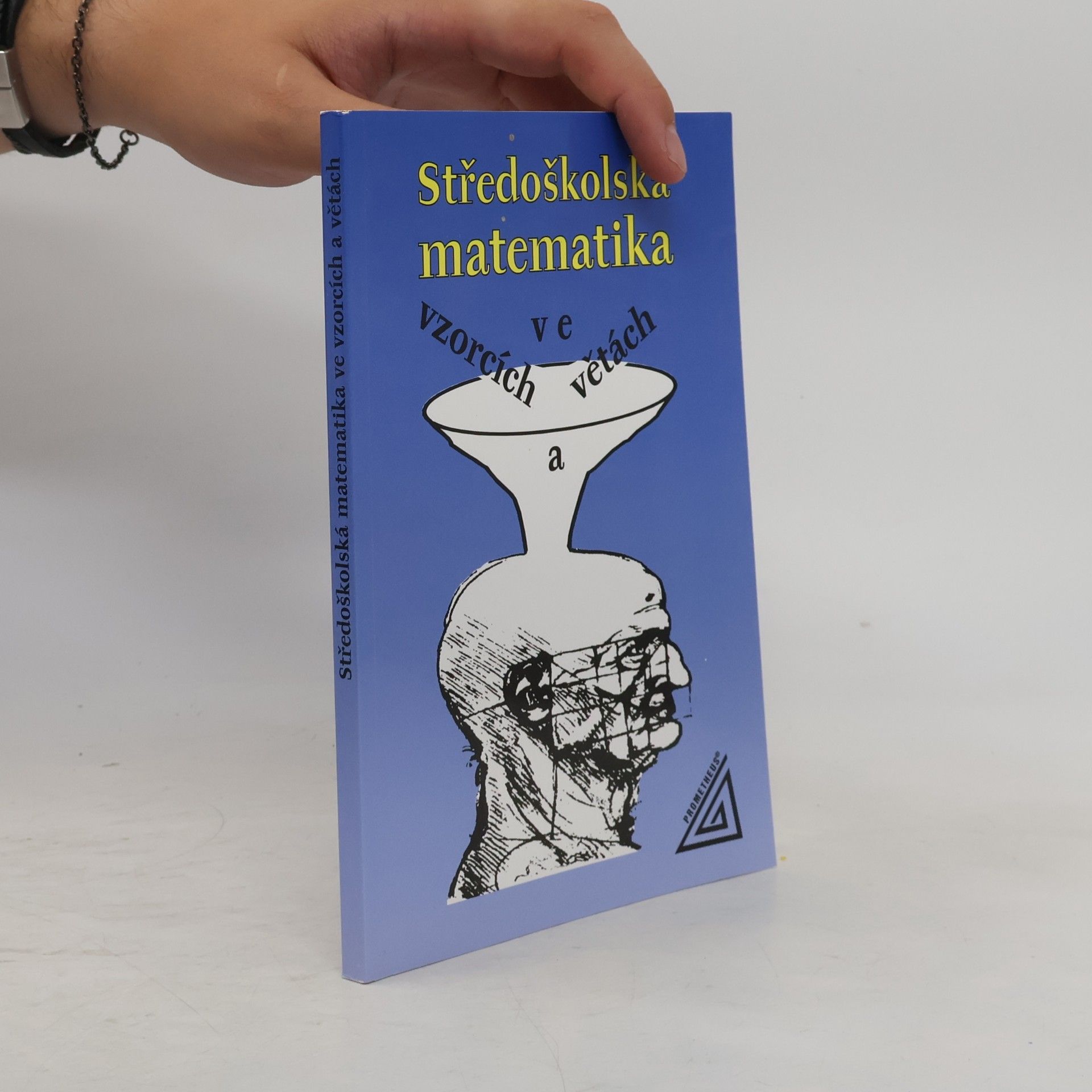 Ivan Bušek Středoškolská matematika ve vzorcích a větách