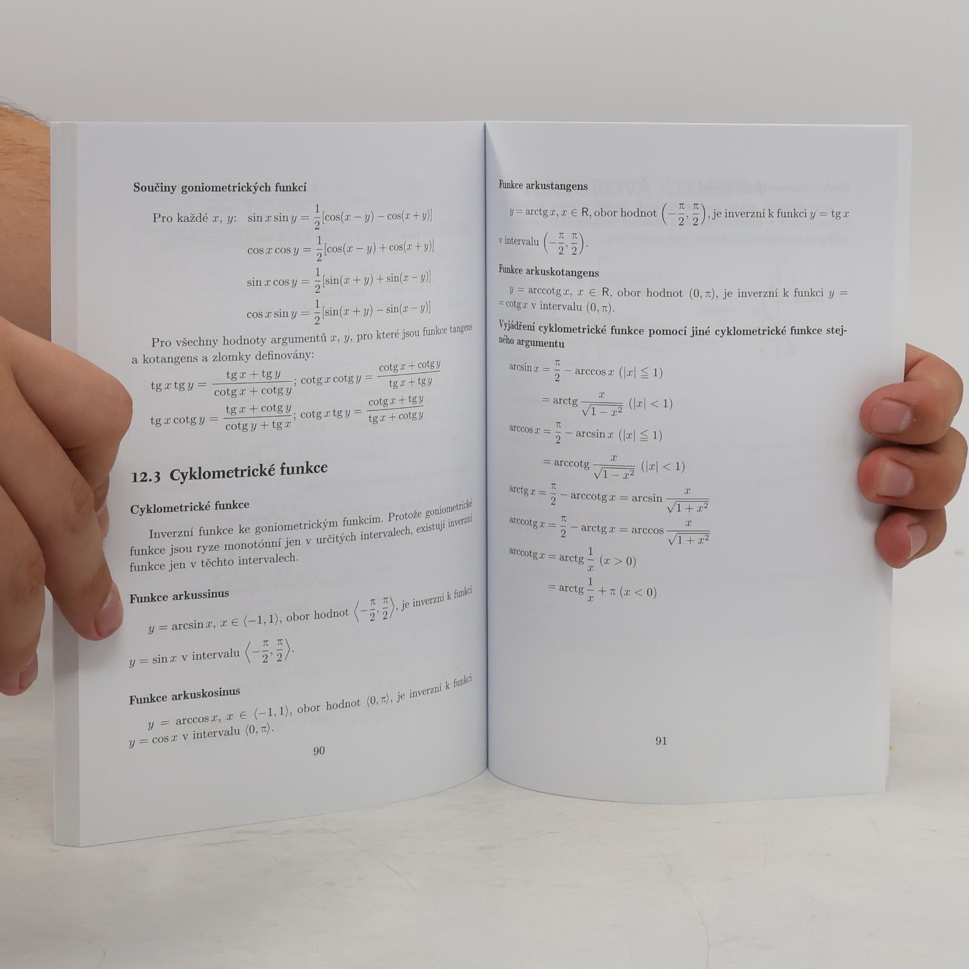 Ivan Bušek Středoškolská matematika ve vzorcích a větách