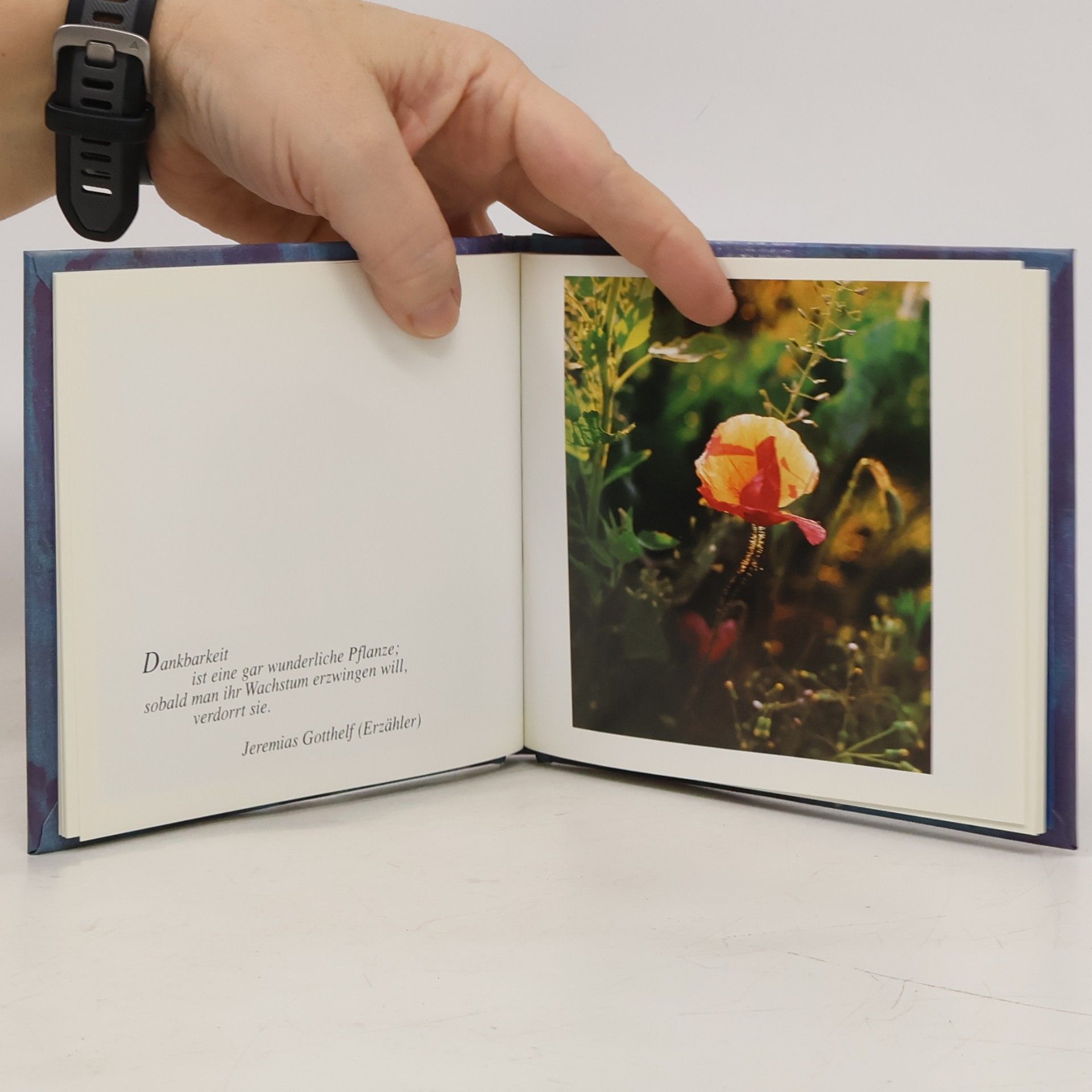 Various authors Danke
