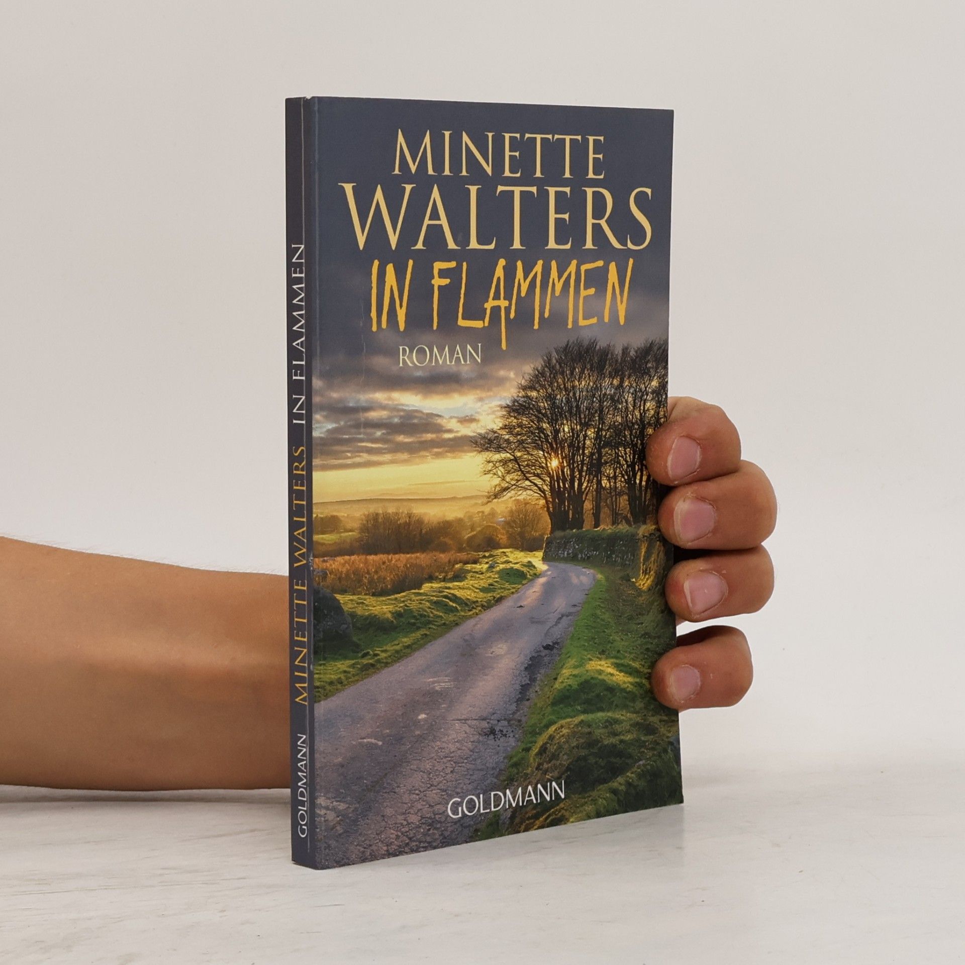 Minette Walters In Flammen