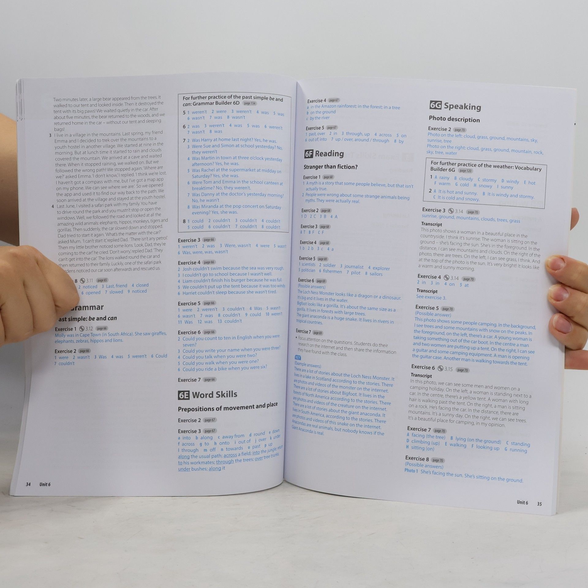 Tim Falla Solutions : elementary. Essentials teacher's book