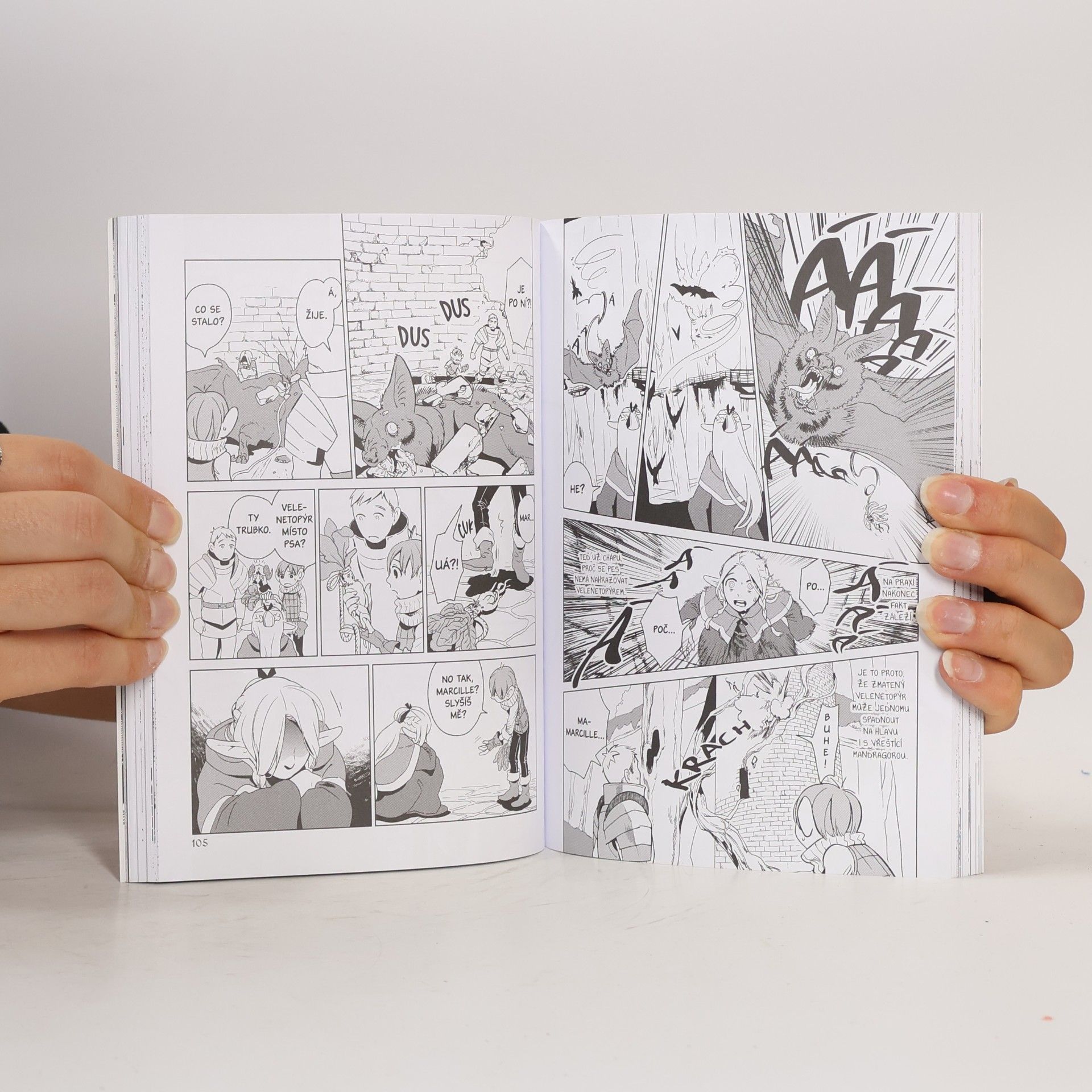 Rjóko Kui Delicious and dungeon - Chuť podzemí
