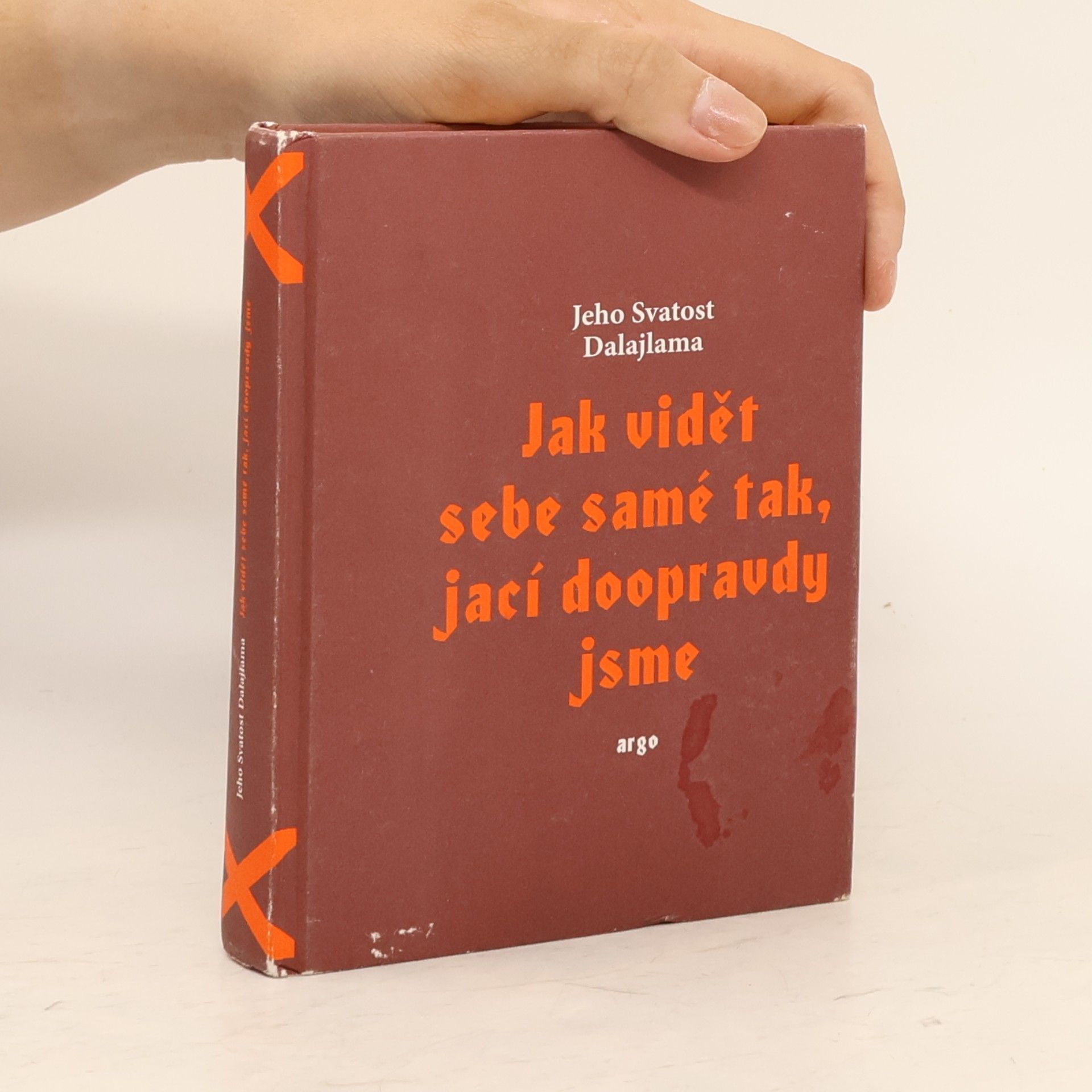Dalajlama Jak vidět sebe samé tak, jací doopravdy jsme