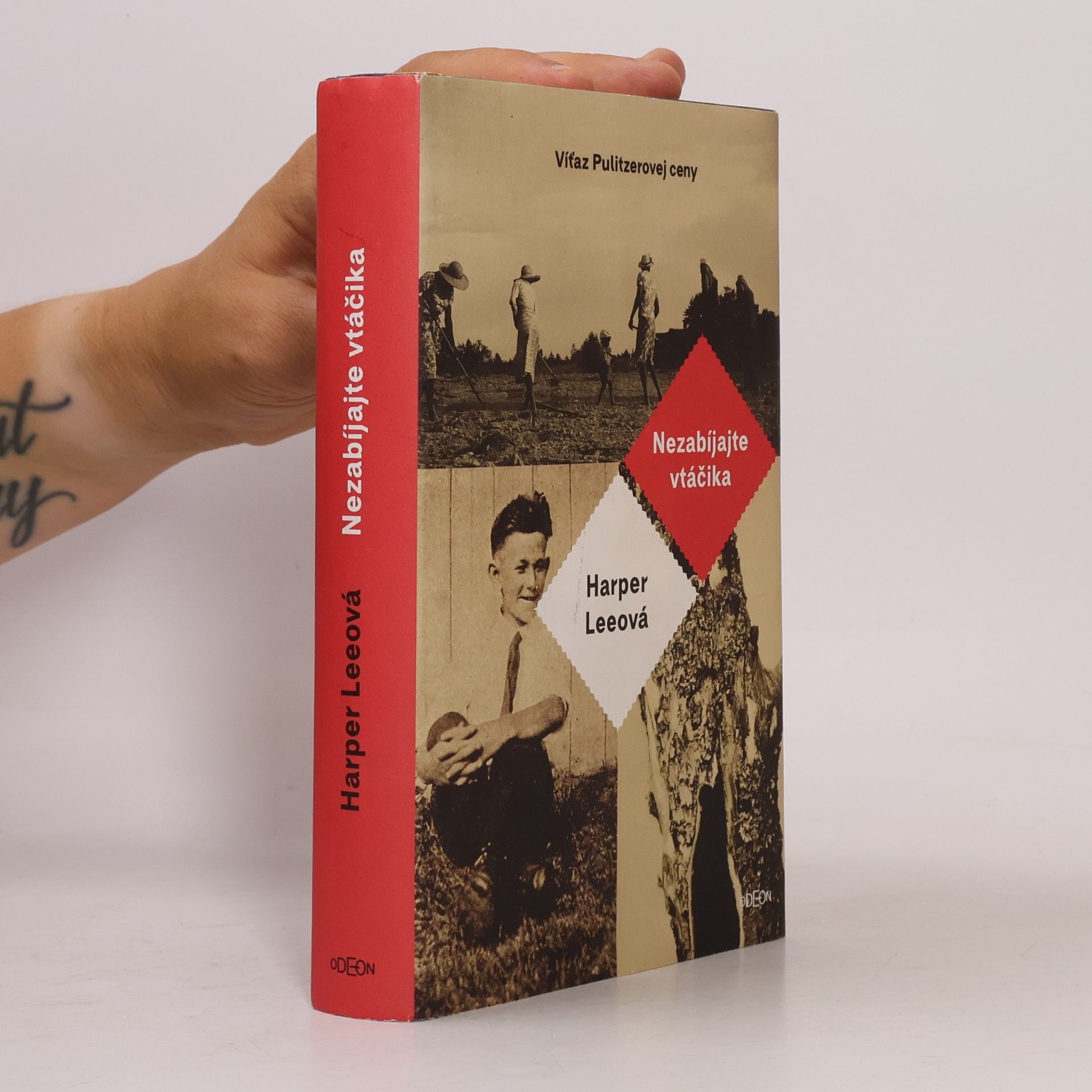Harper Lee Nezabíjajte vtáčika