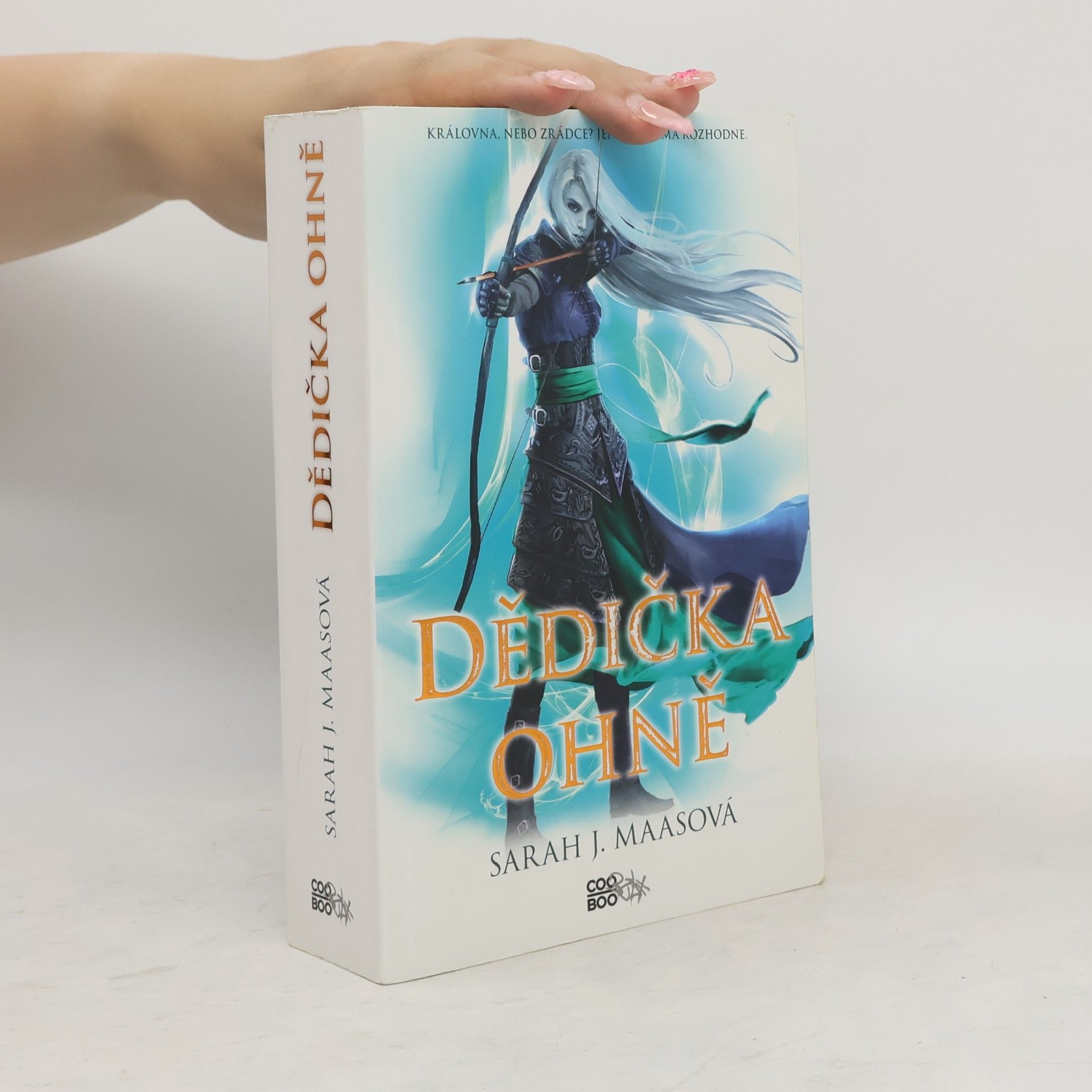 Sarah J. Maas Dědička ohně