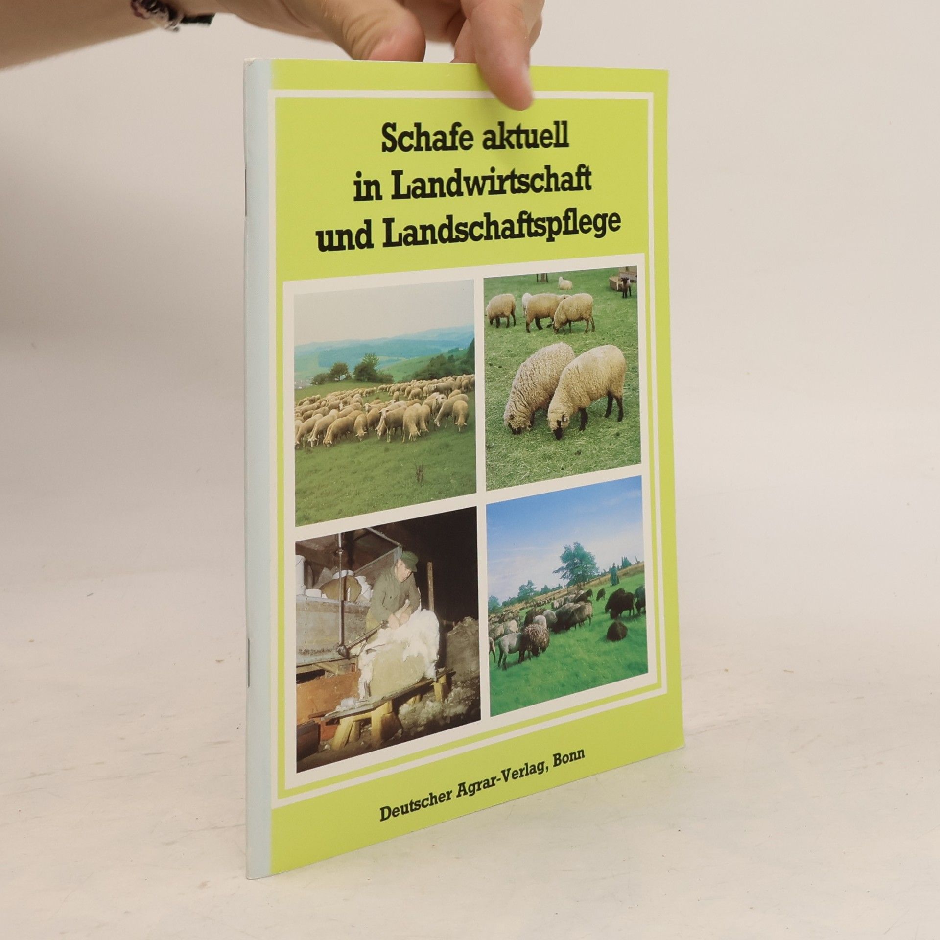 kolektiv Schafe aktuell in Landwirtschaft und Landschaftspflege