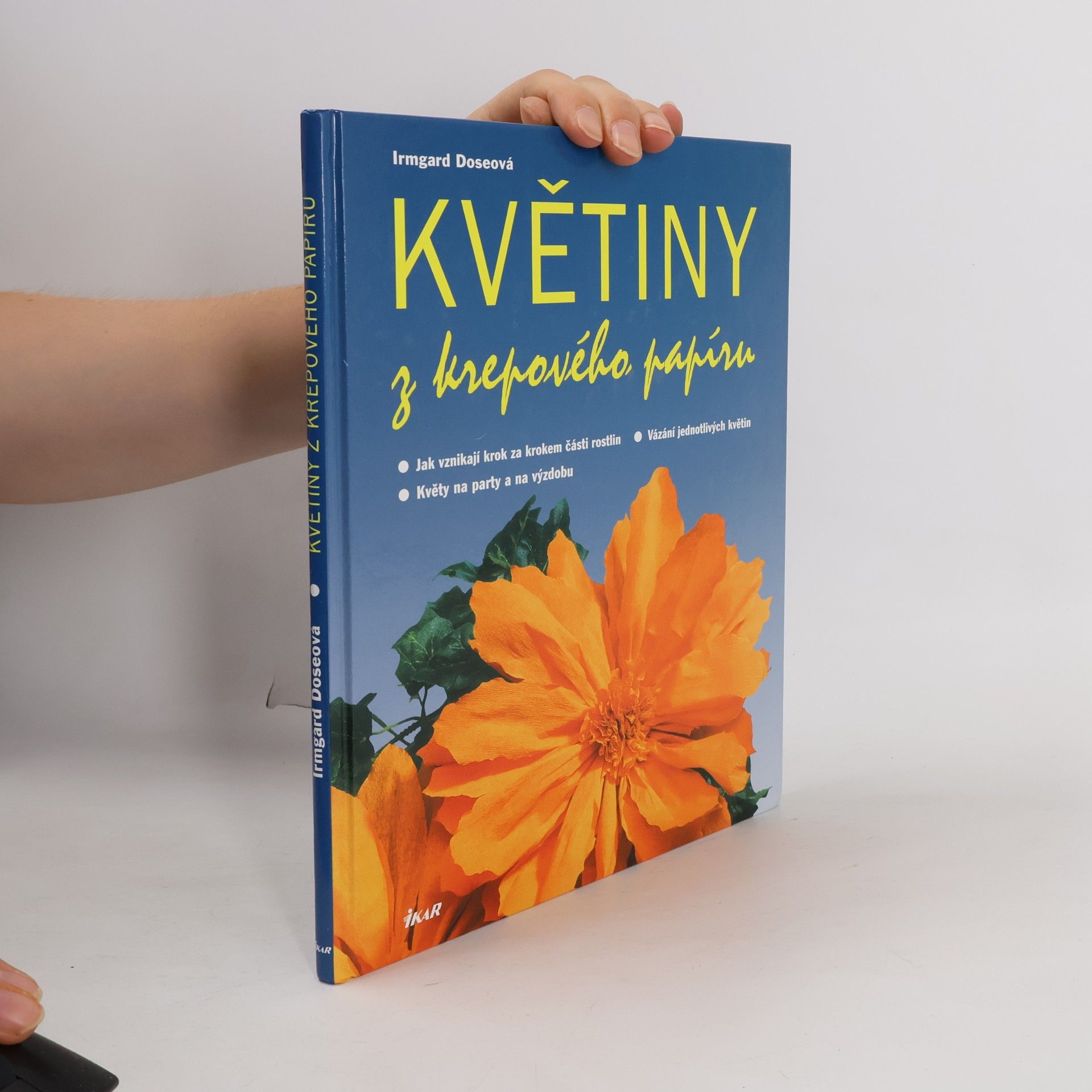 Irmgard Dose Květiny z krepového papíru