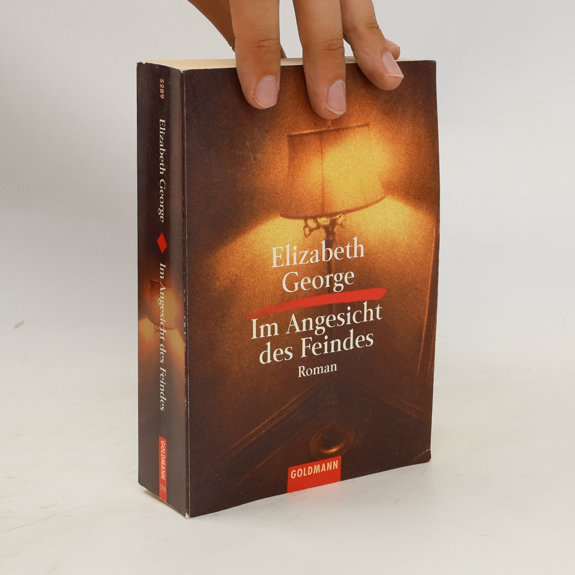 Elizabeth George Im Angesicht des Feindes