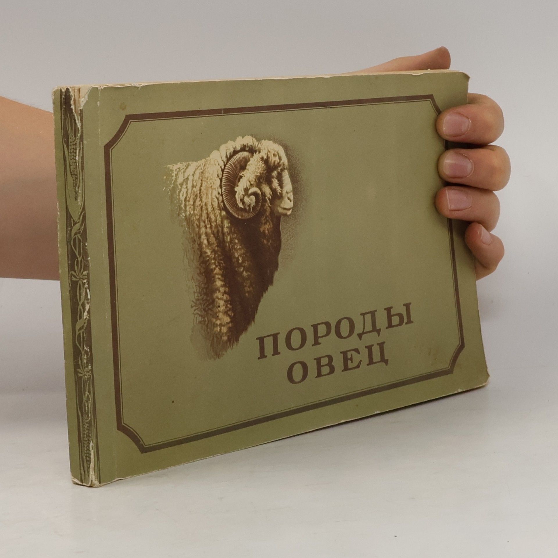 Autorenkollektiv Породы овец